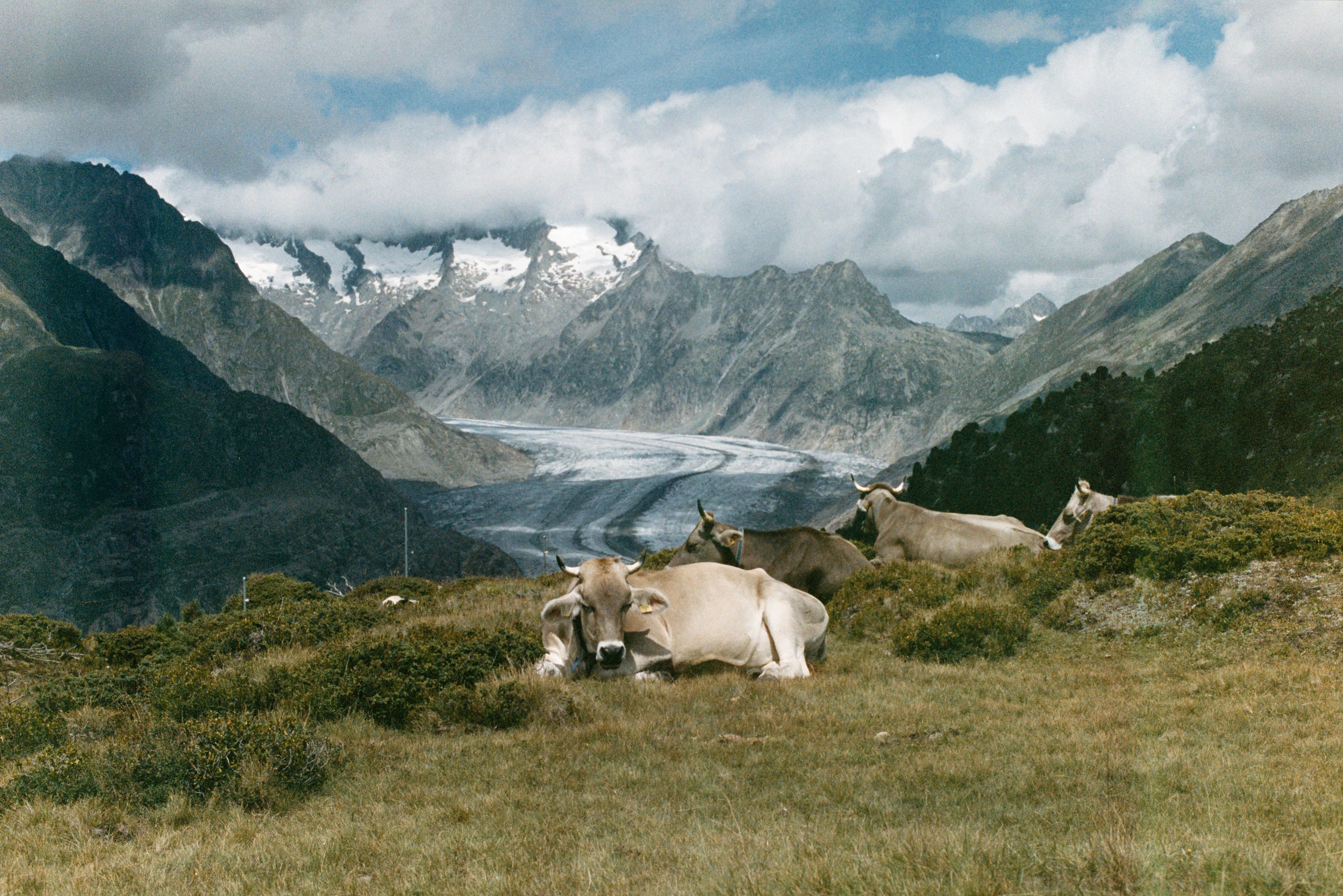 Photo by andrei_7654