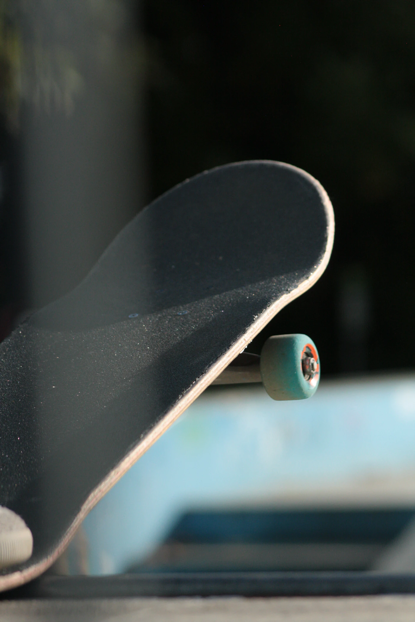 Close-up of a skateboard deck, grip tape, and wheel