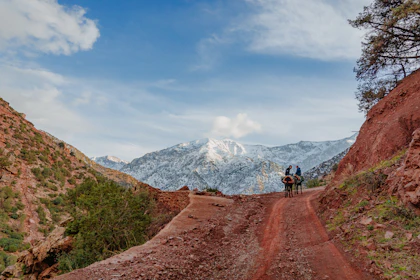 Paseo en burro hacia la montaña