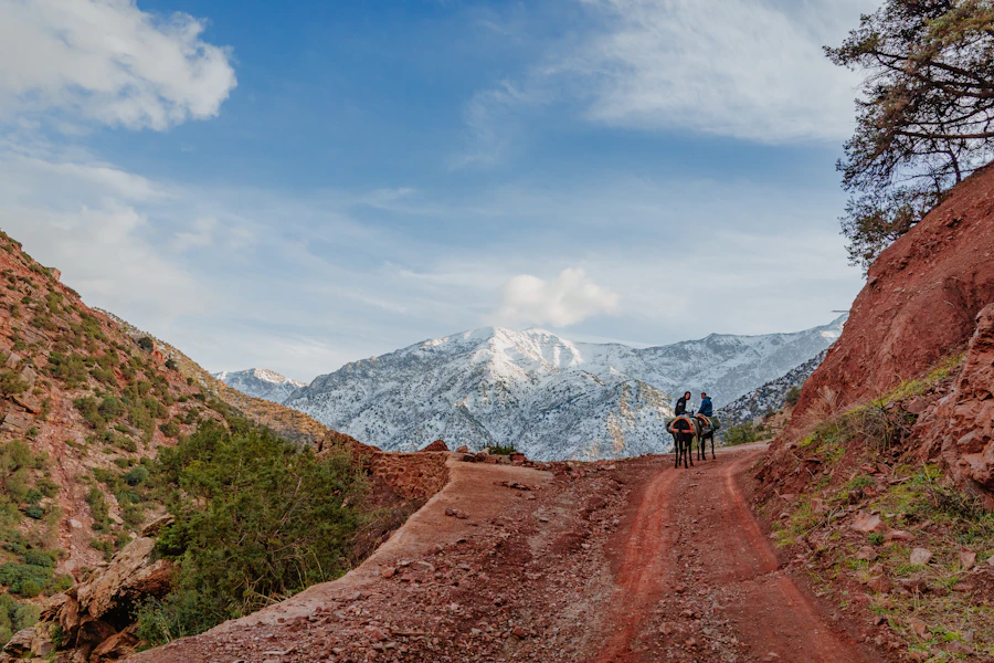 Travellers in the mountain landscape of Ourika