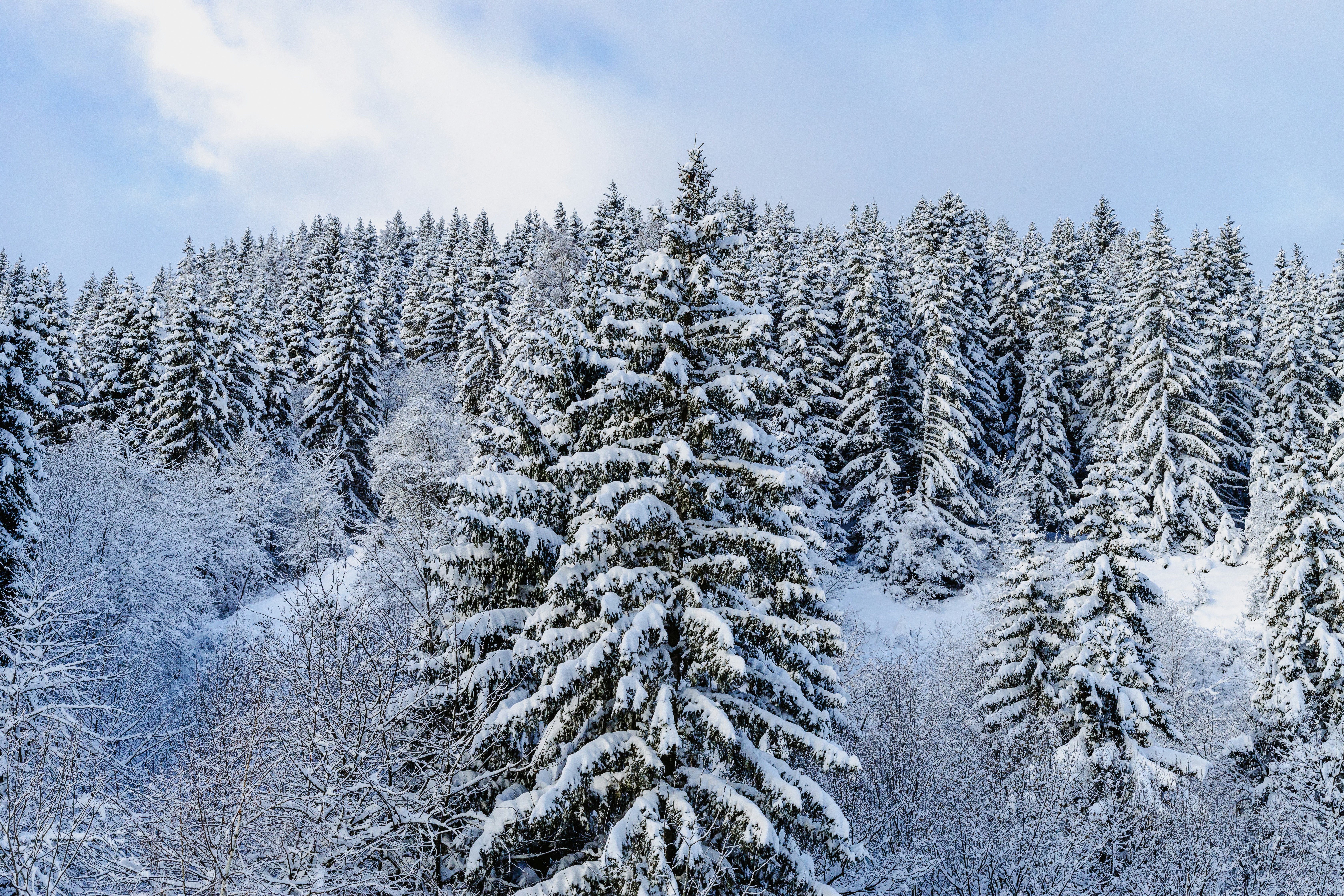 Photo by leviaripronk