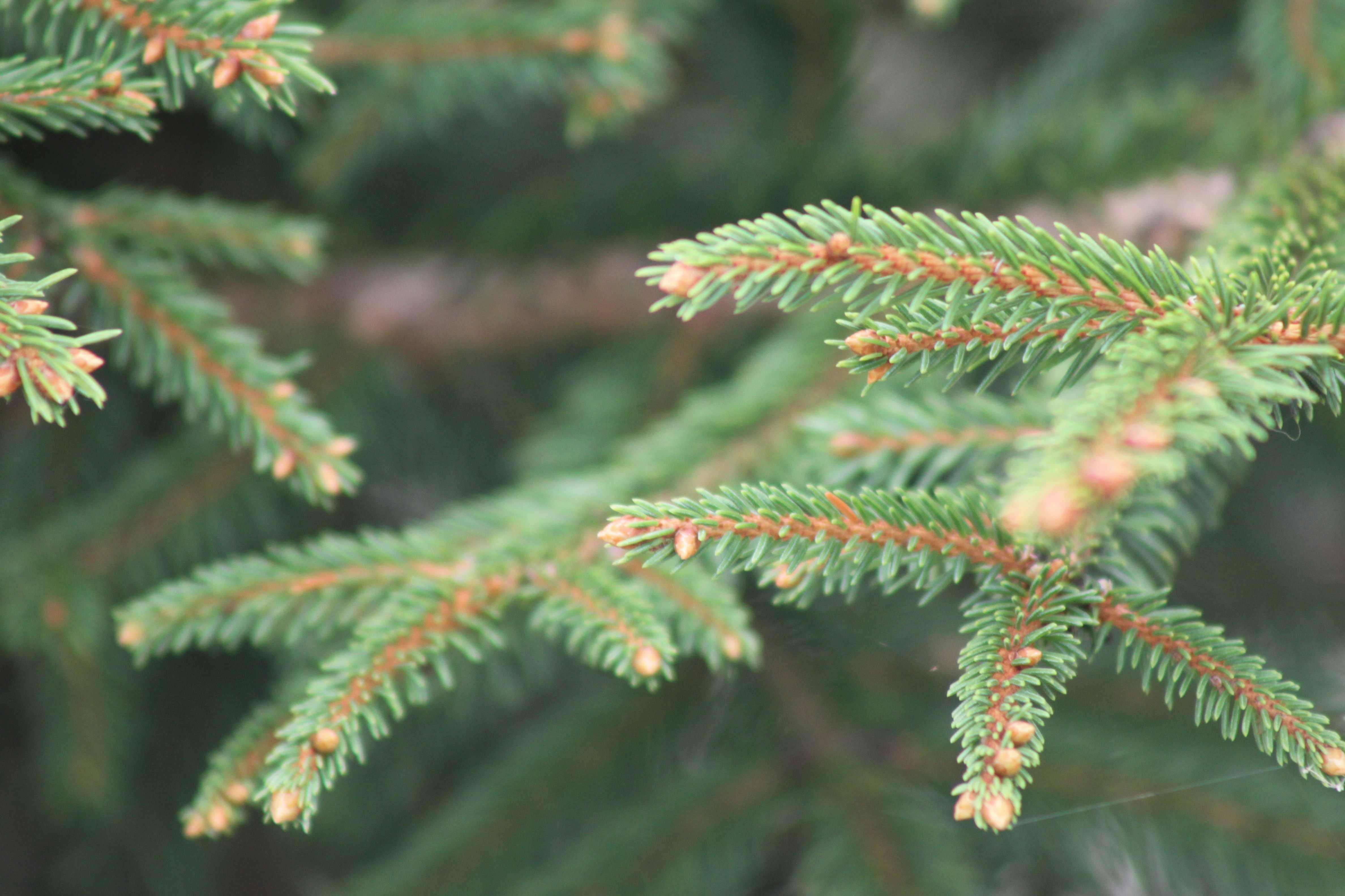 Photo by rubyphotography