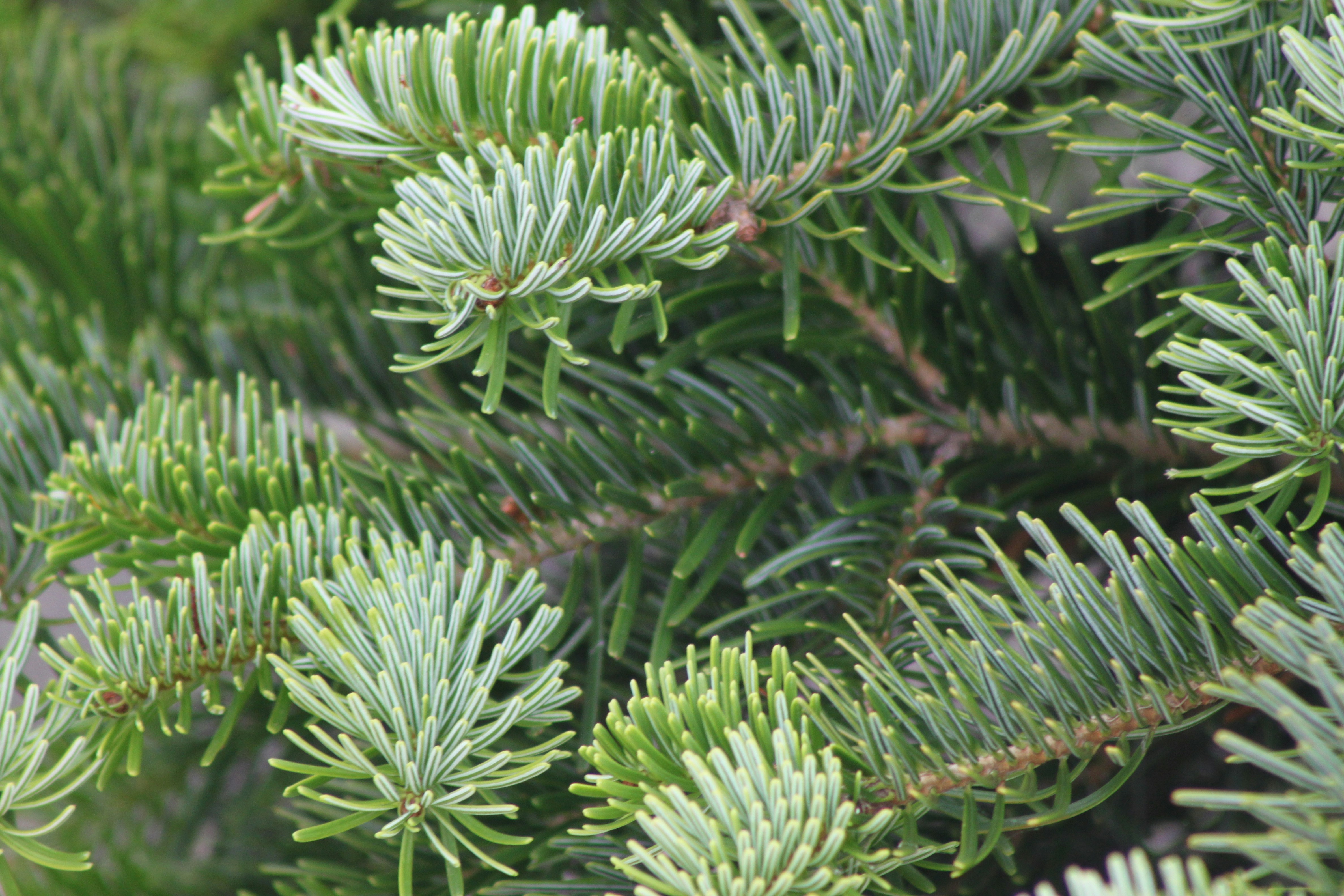 Photo by rubyphotography