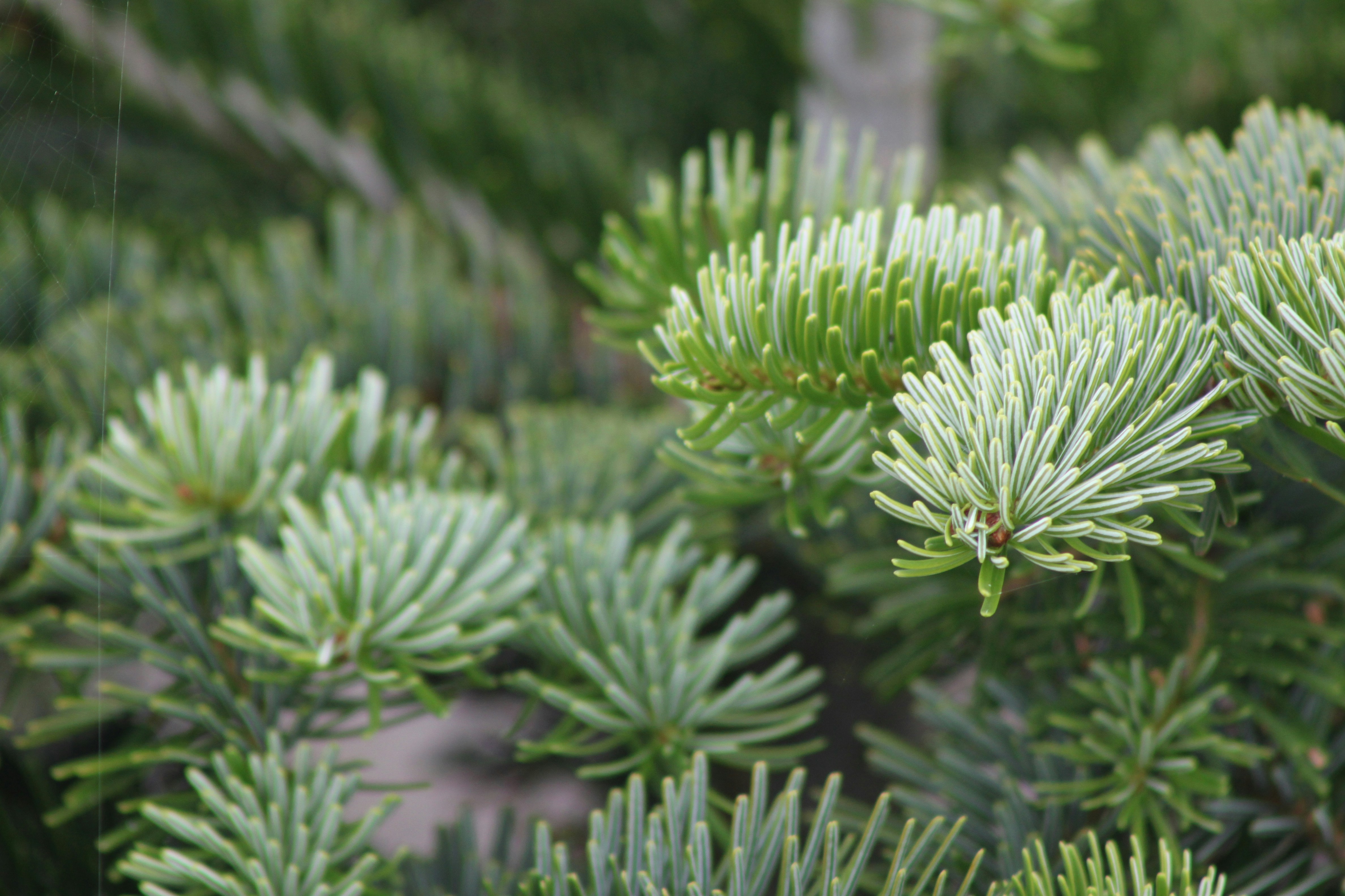 Photo by rubyphotography