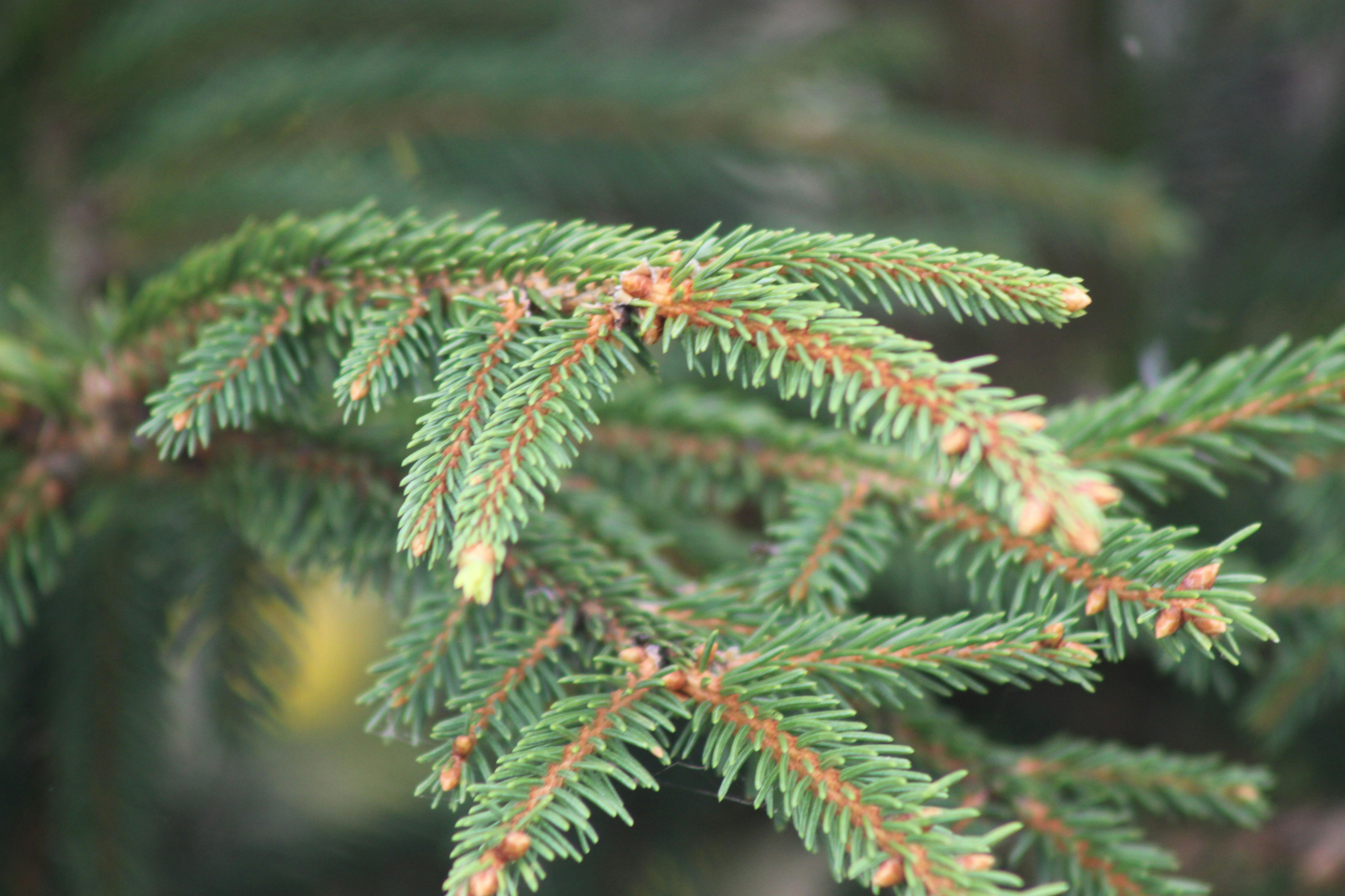 Photo by rubyphotography