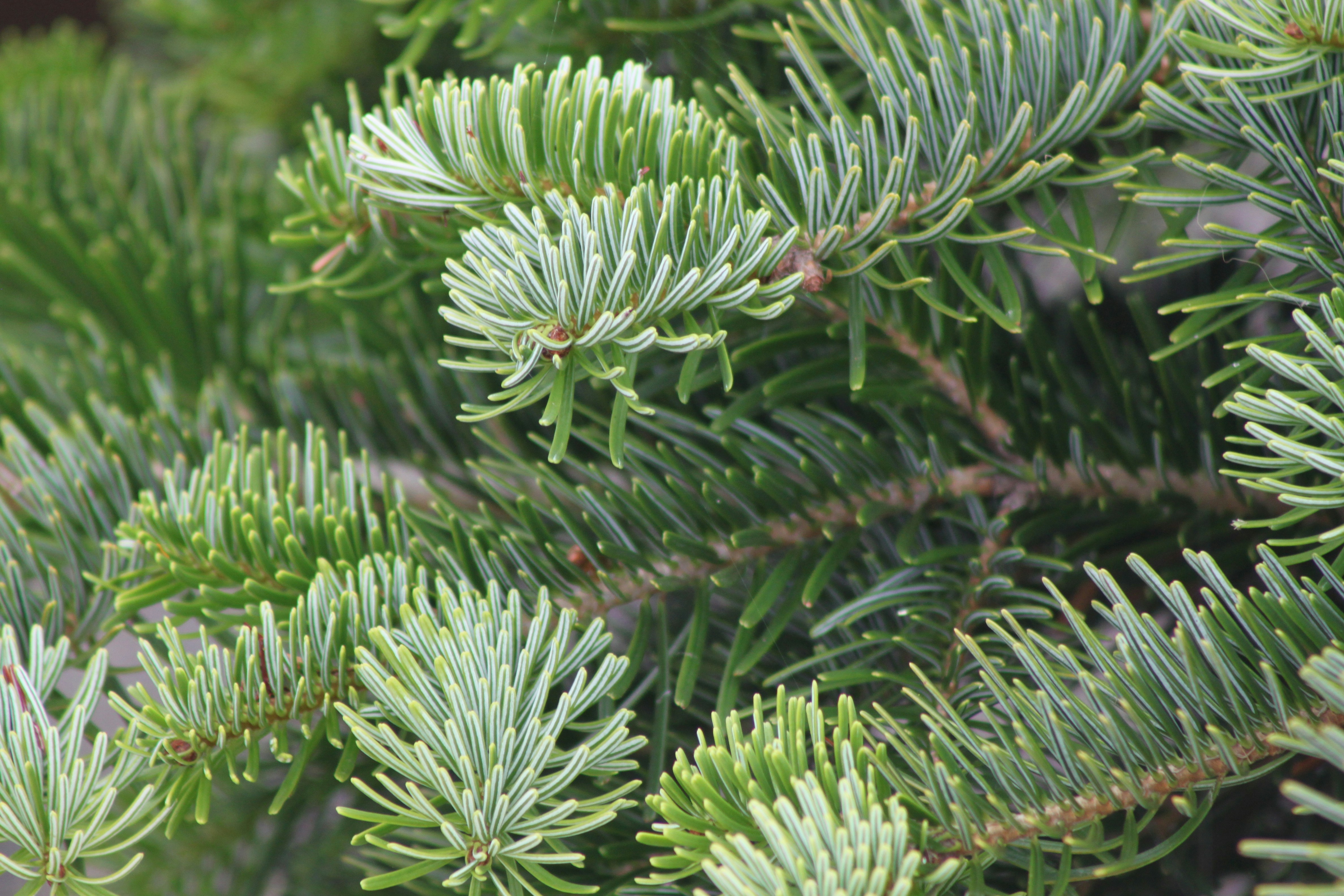 Photo by rubyphotography