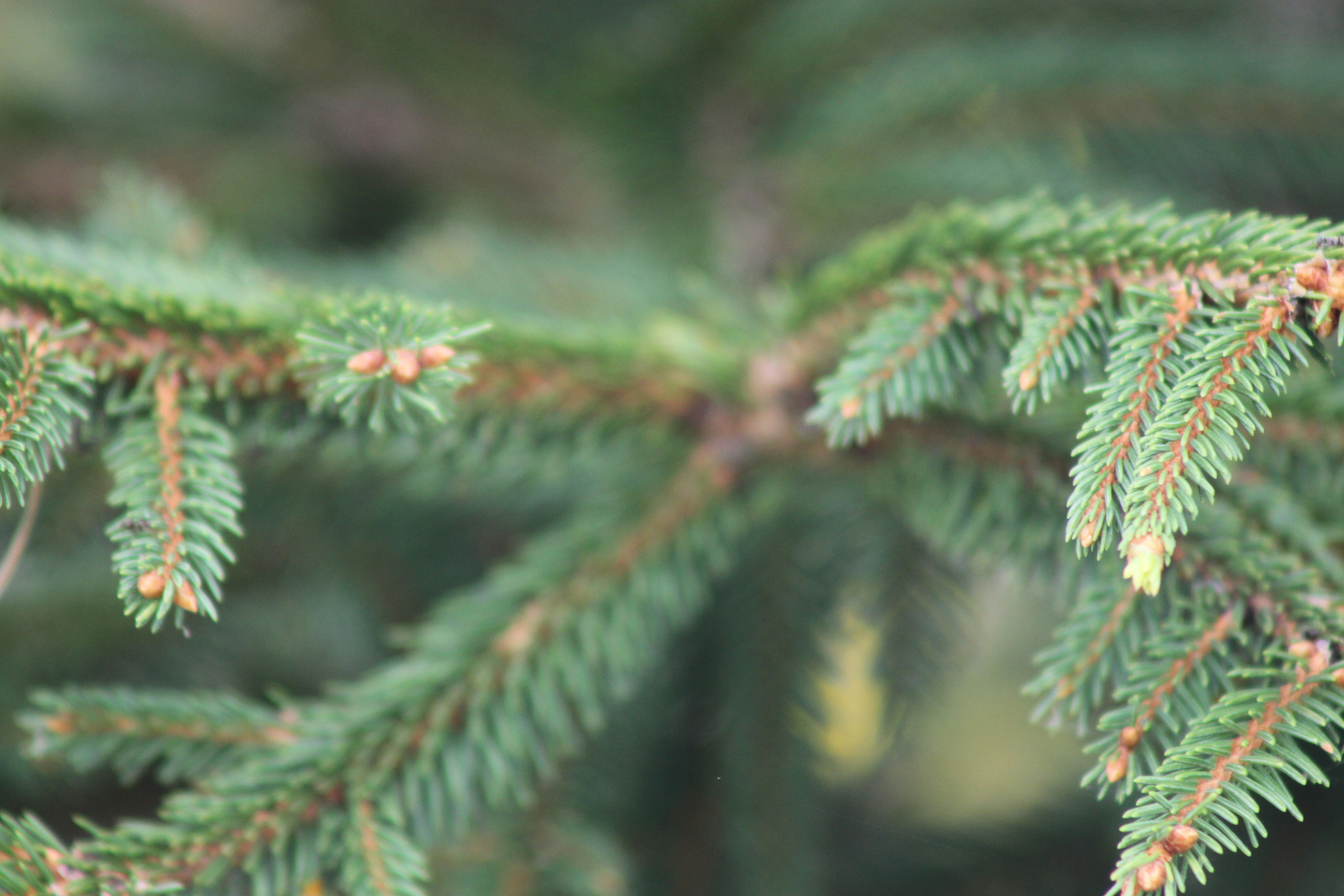 Photo by rubyphotography