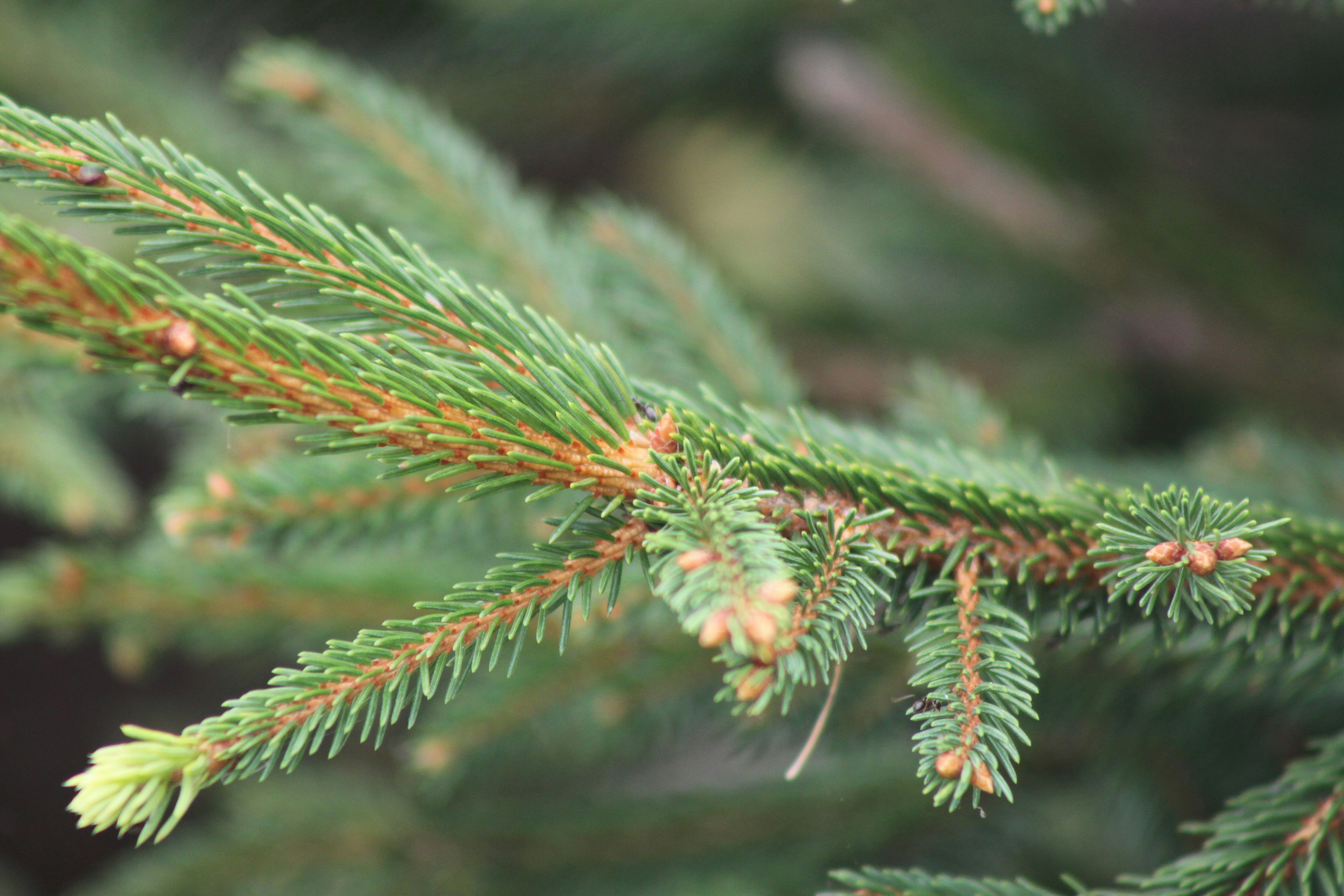 Photo by rubyphotography