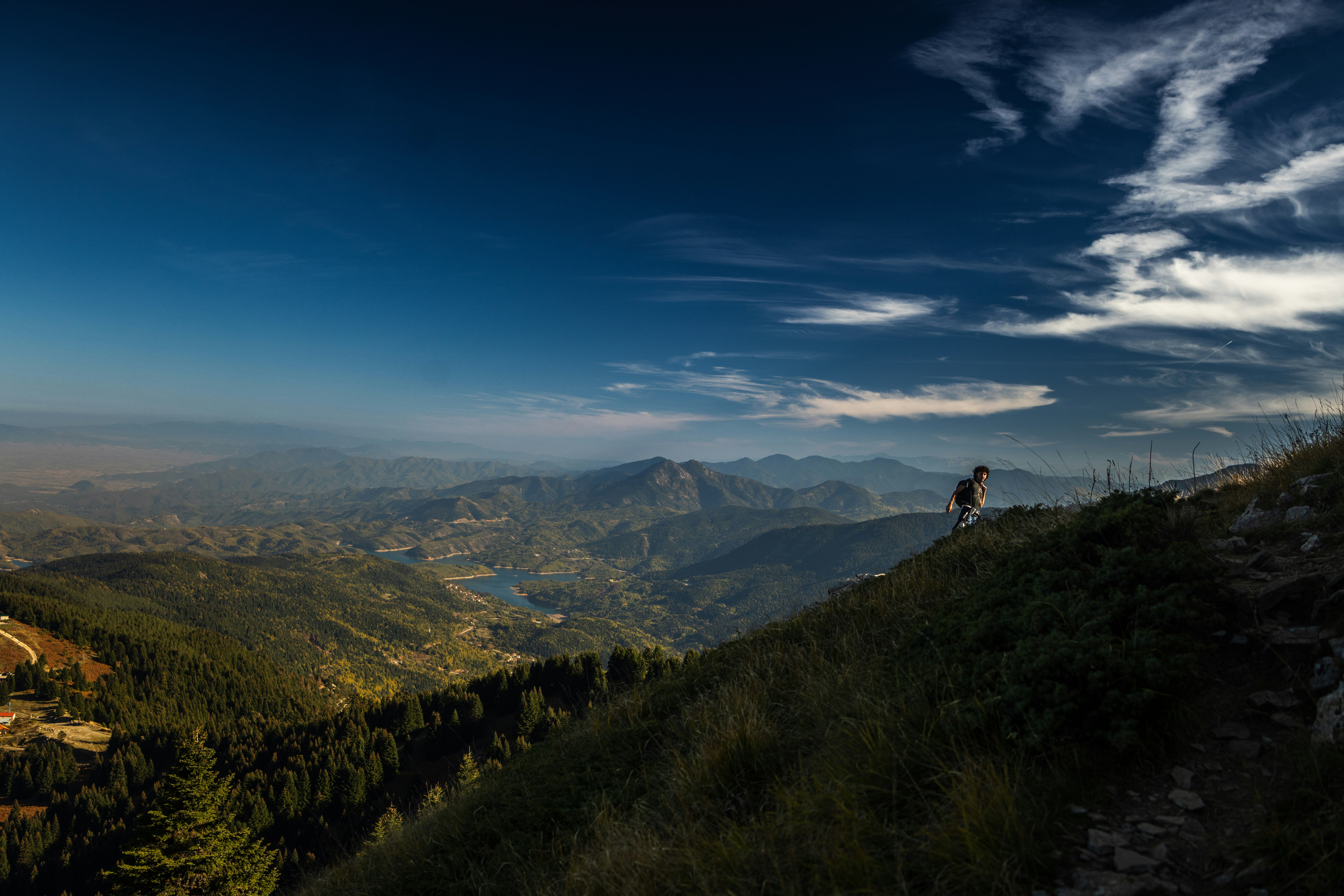 A dog stands on a grassy mountain overlooking a valley.