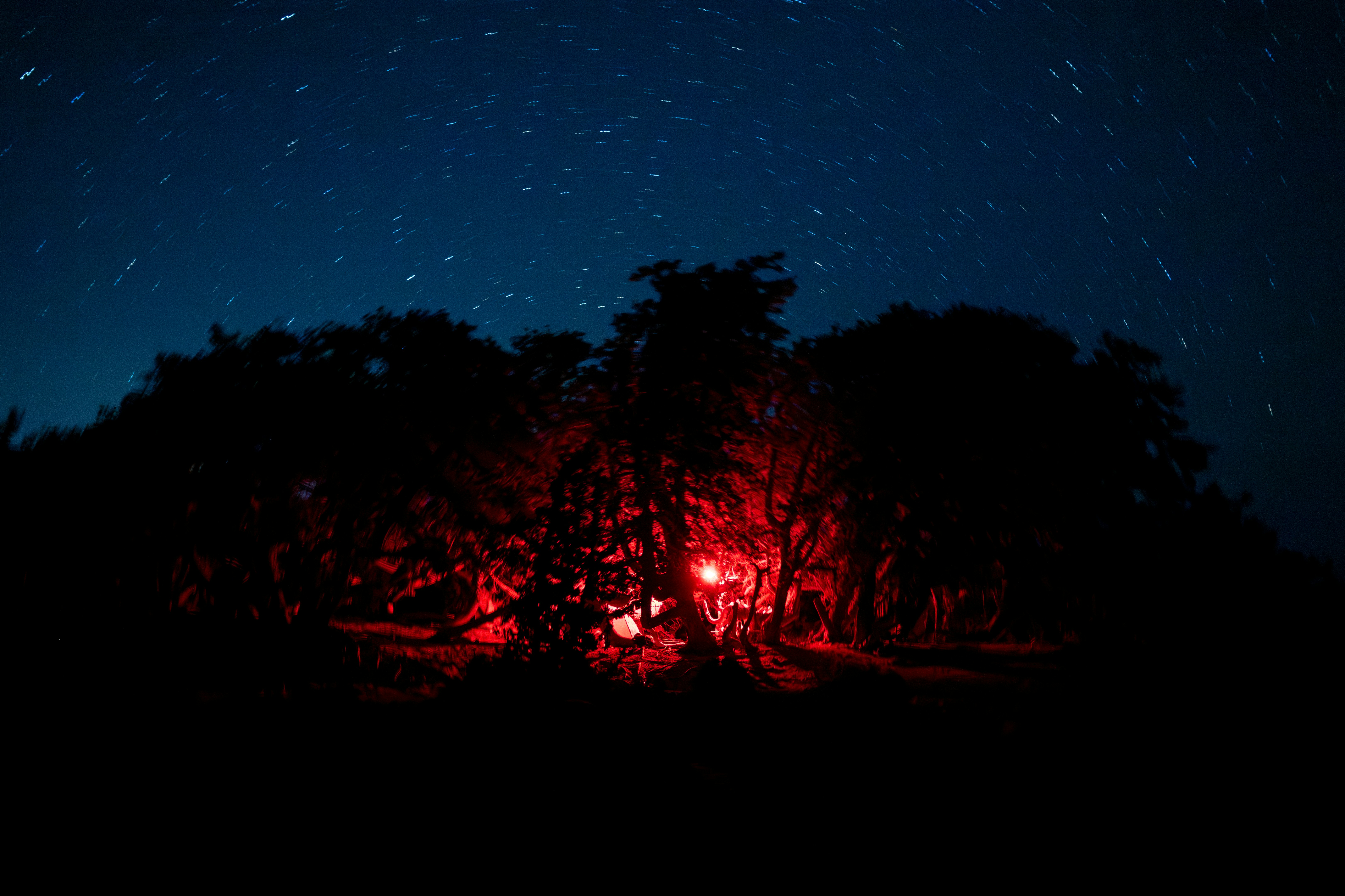 Forest night camping light, ilustrasi artikel Illuminate Your Adventures: The Best Headlamps for Hands-Free Camp Lighting 4