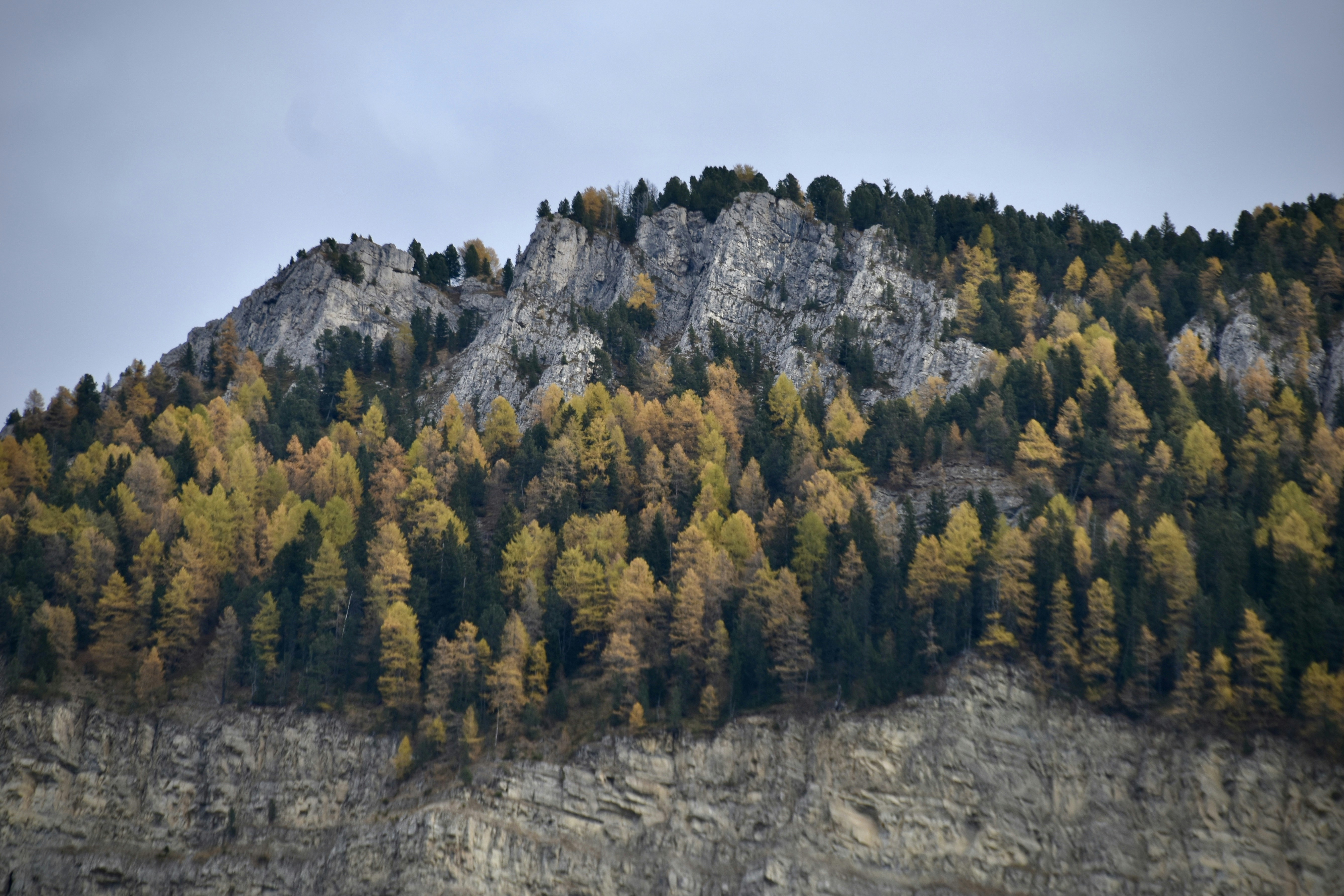 Photo by arnosenoner