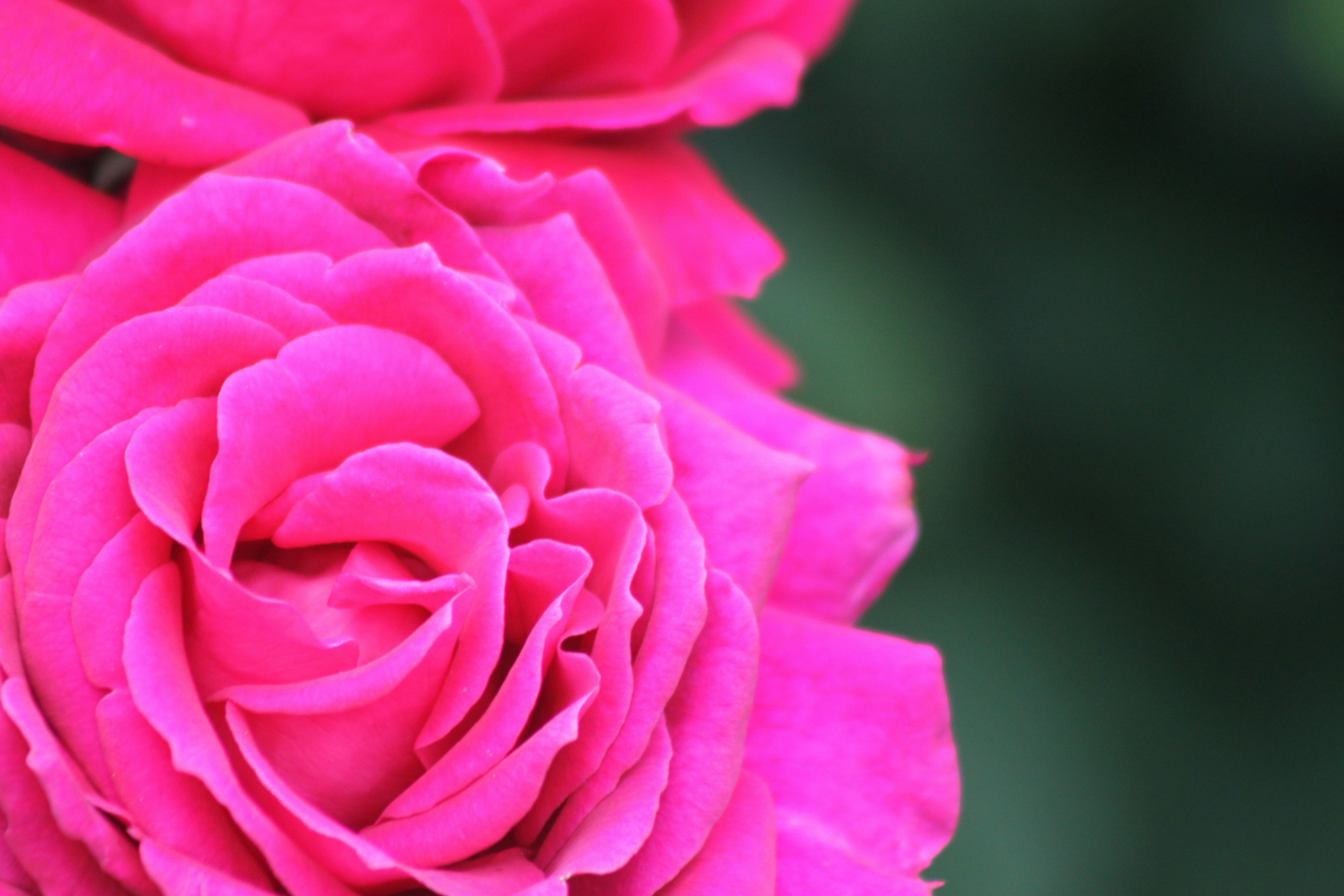 Photo by rubyphotography