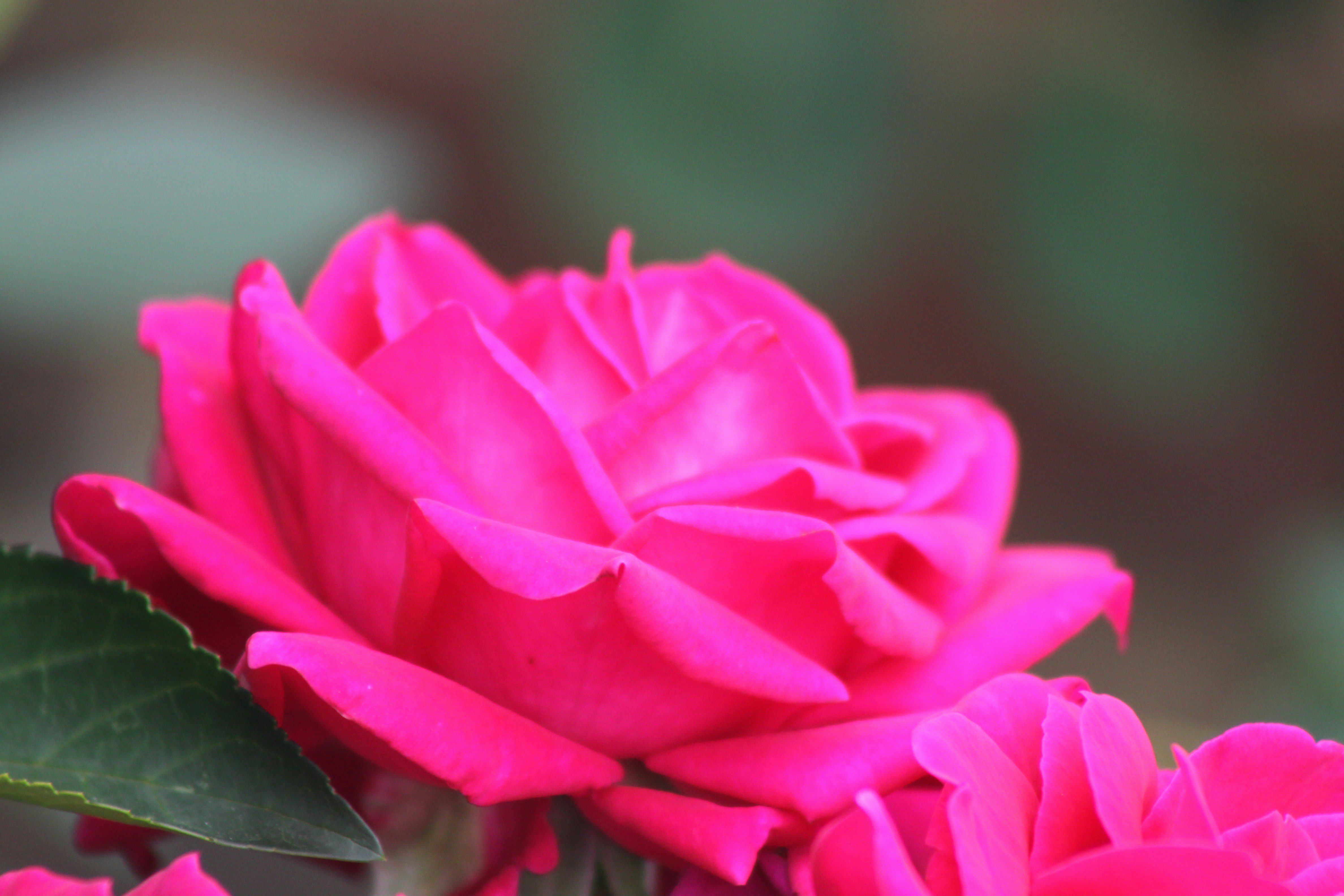 Photo by rubyphotography