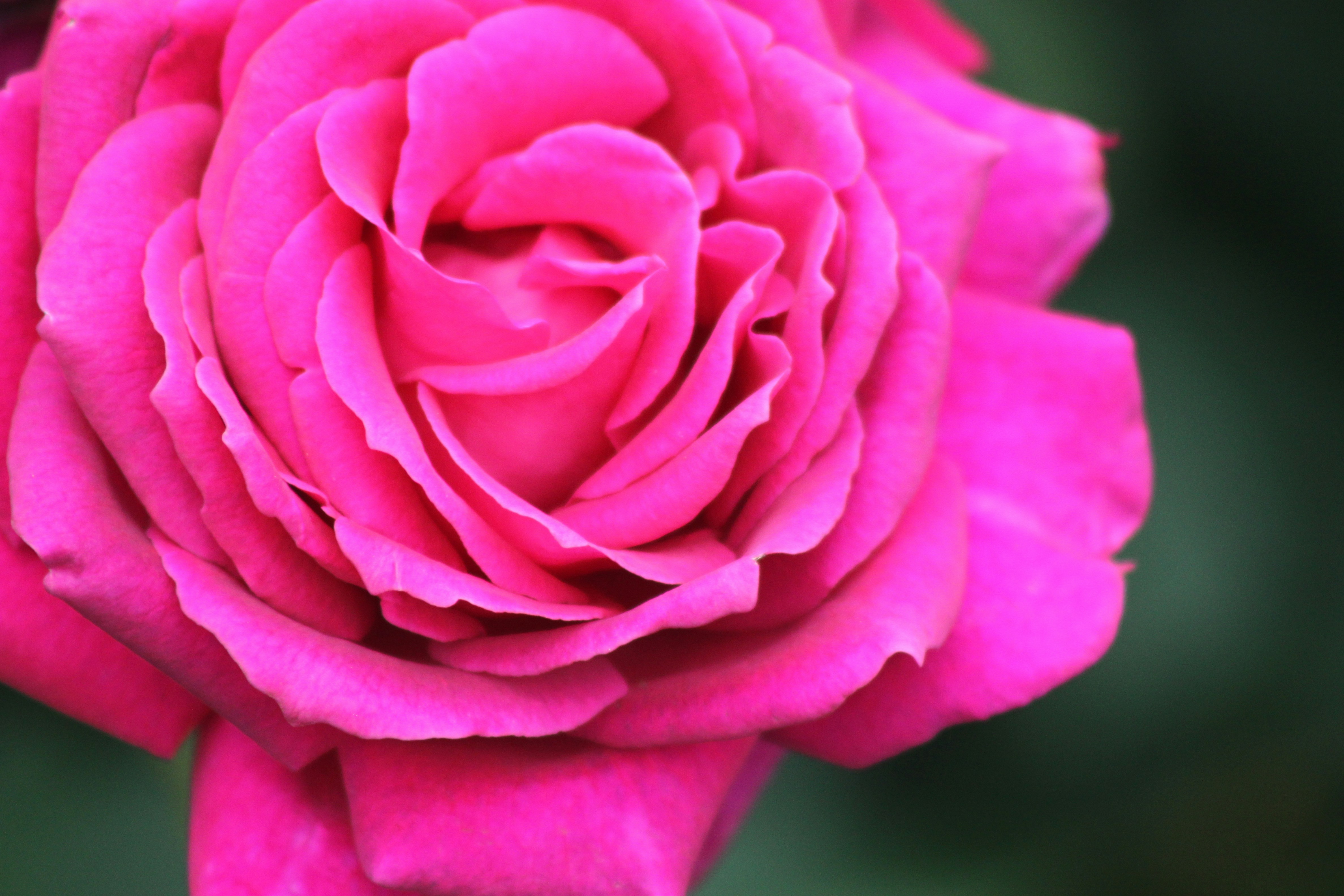 Photo by rubyphotography