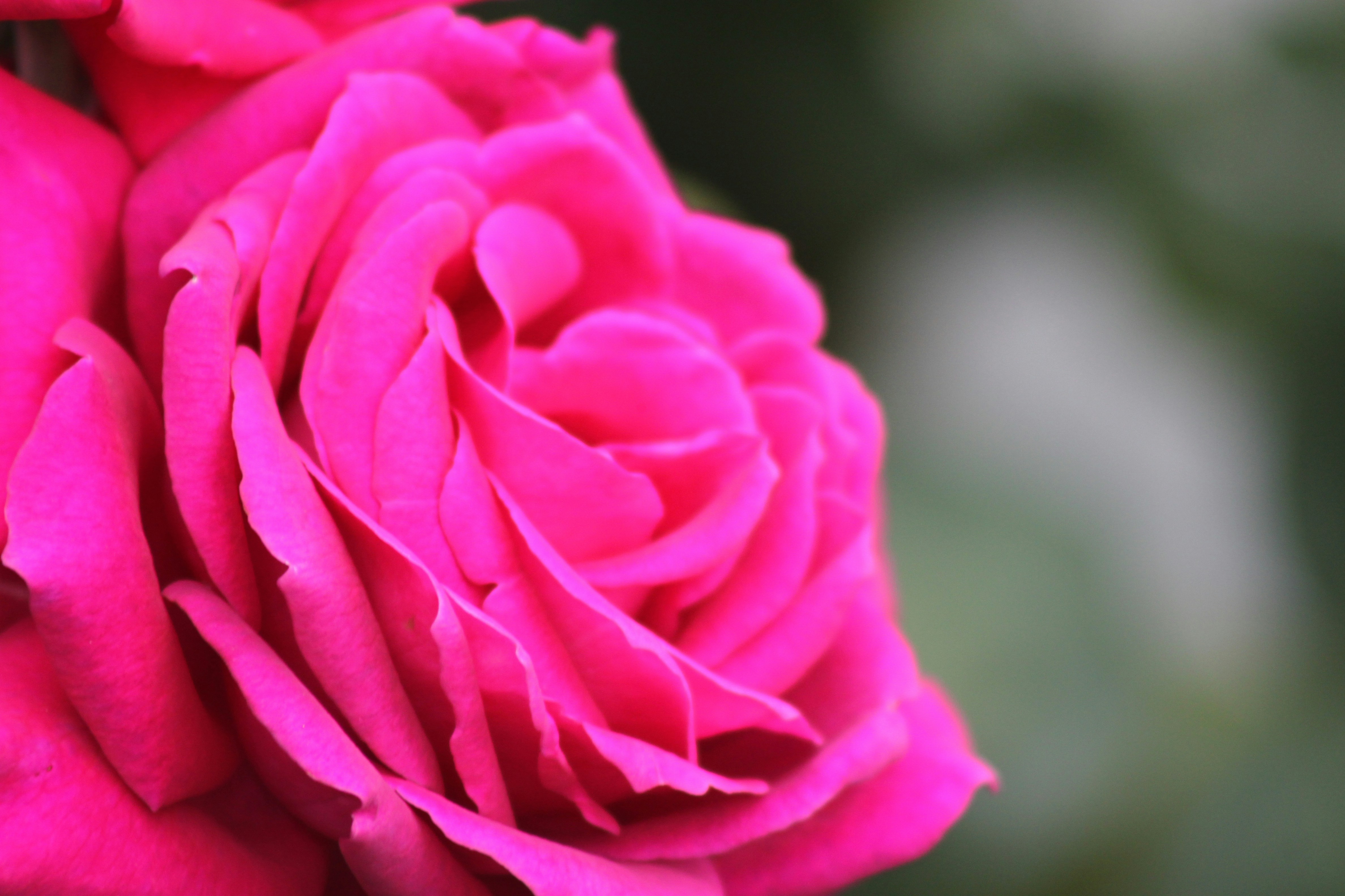 Photo by rubyphotography