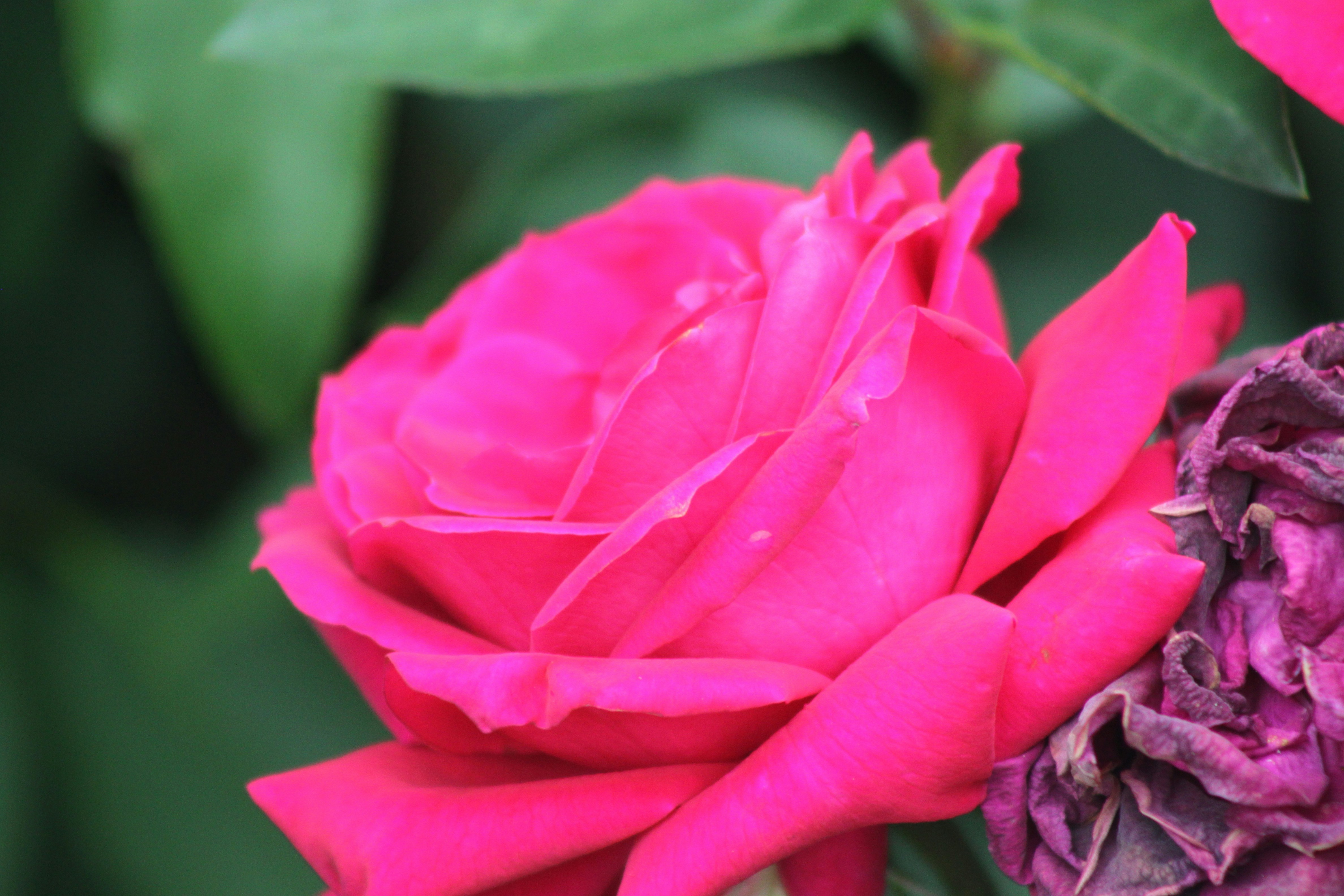 Photo by rubyphotography