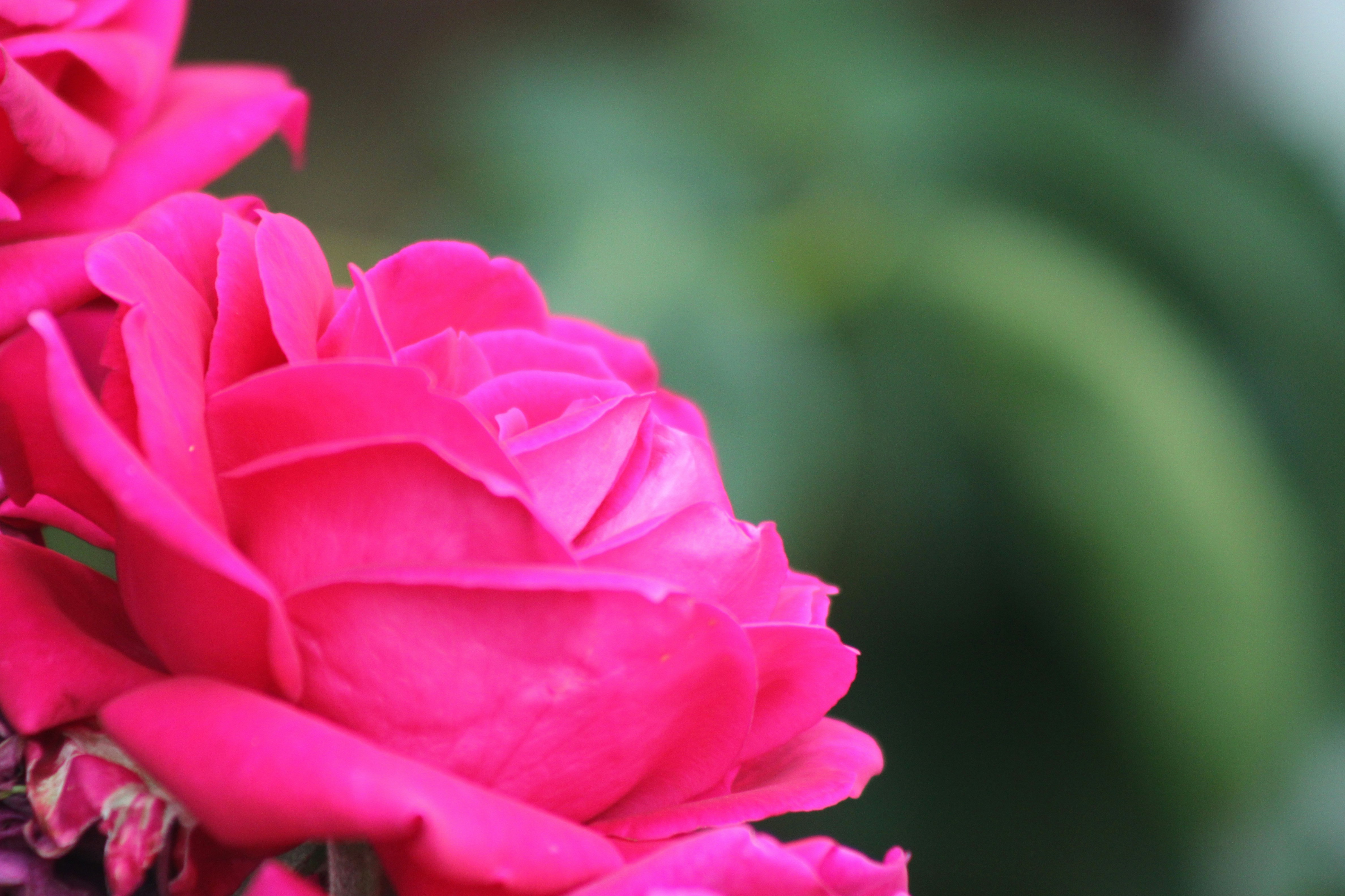 Photo by rubyphotography