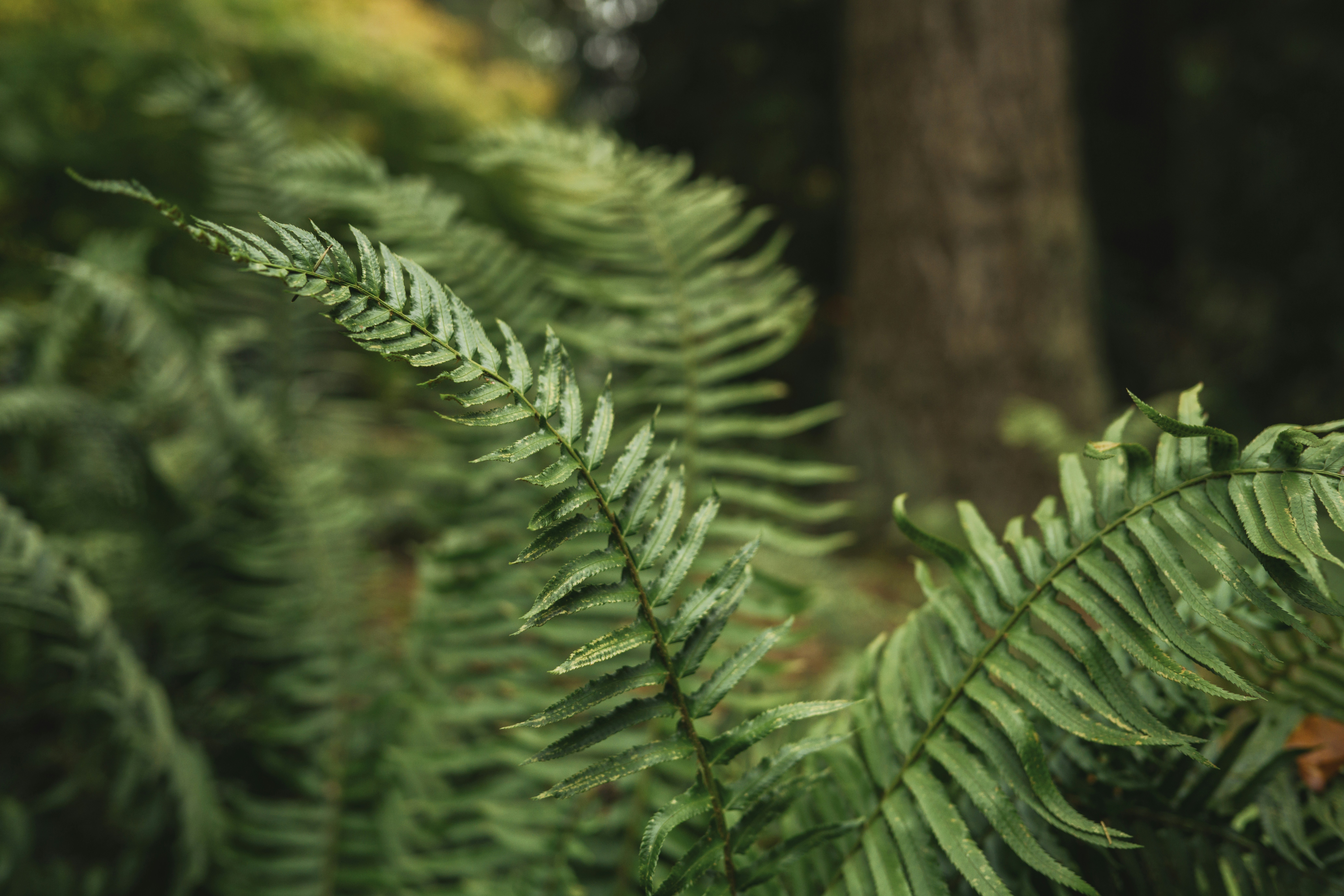 Photo by albertstoynov