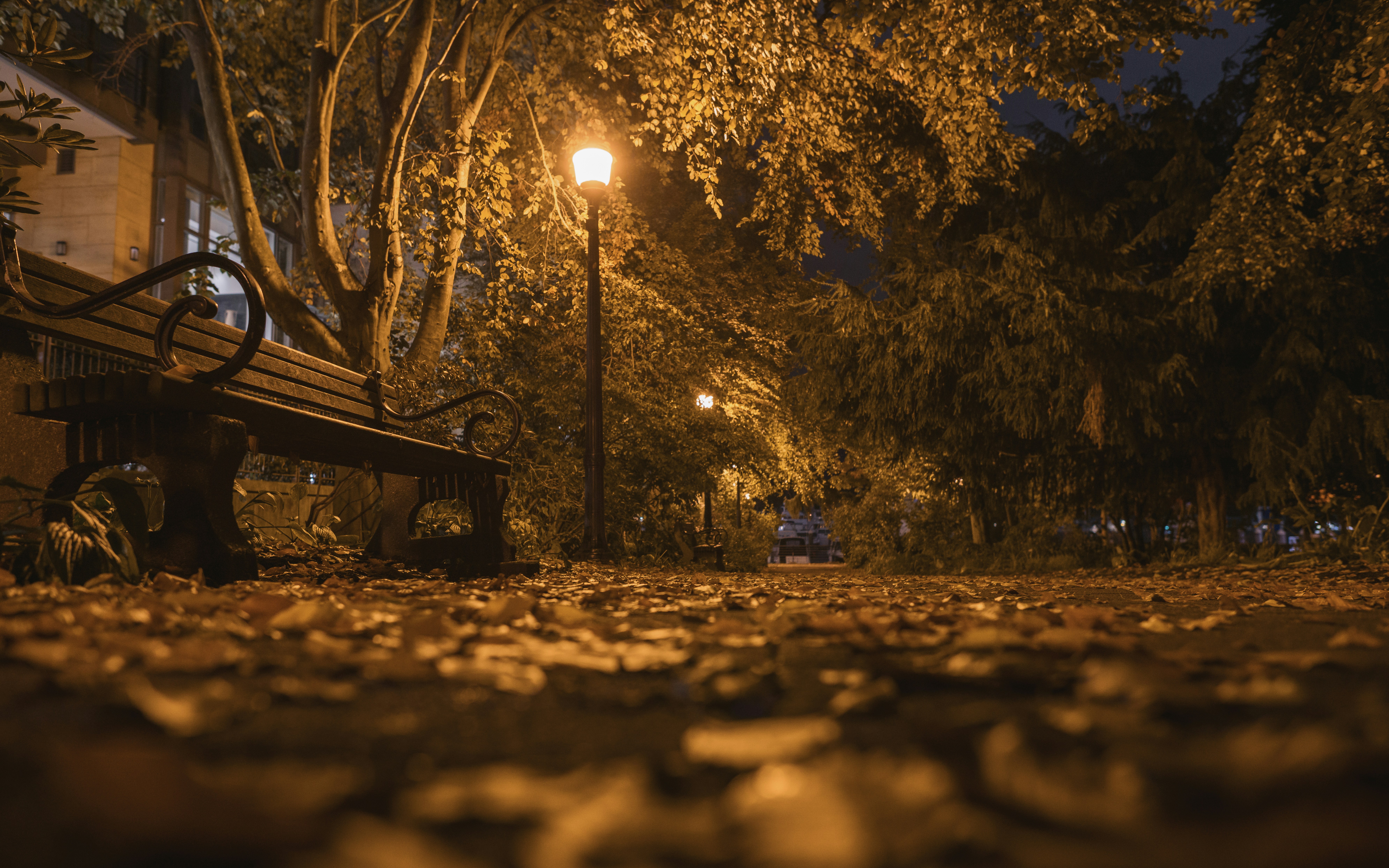 Photo by albertstoynov