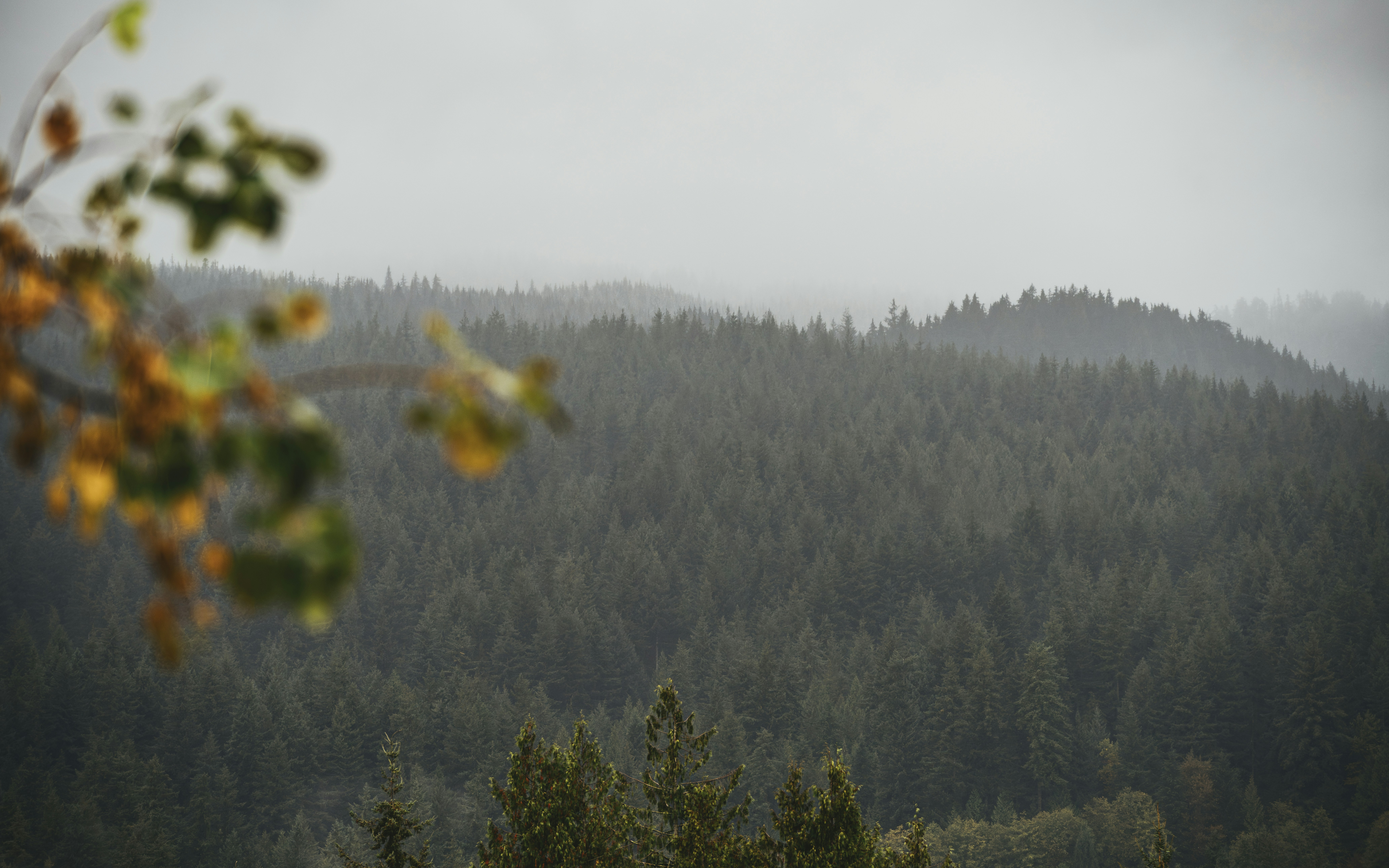 Photo by albertstoynov