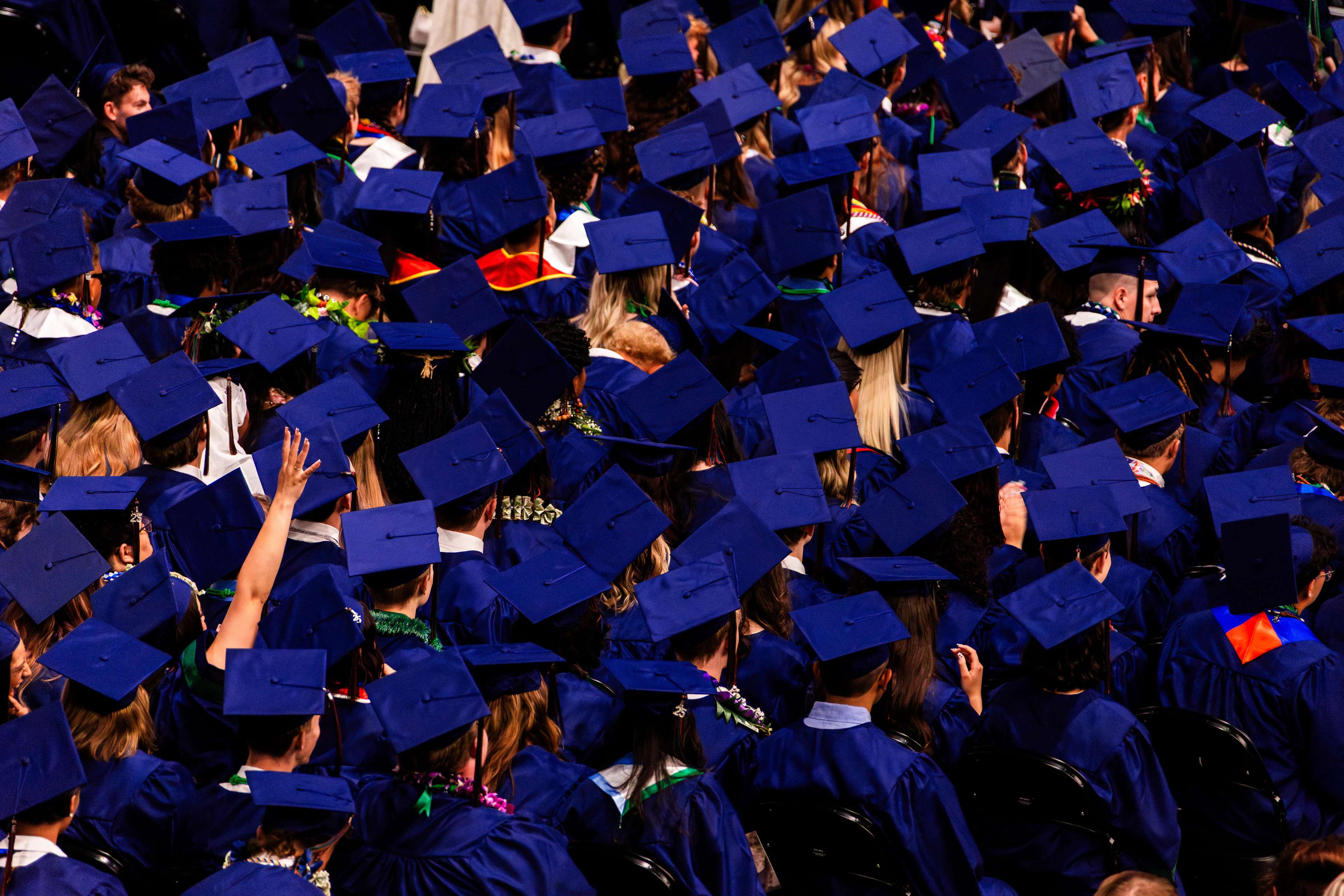 Graduation ceremony with gowns and caps