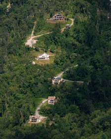 Homes nestled on a winding road through lush green forest.