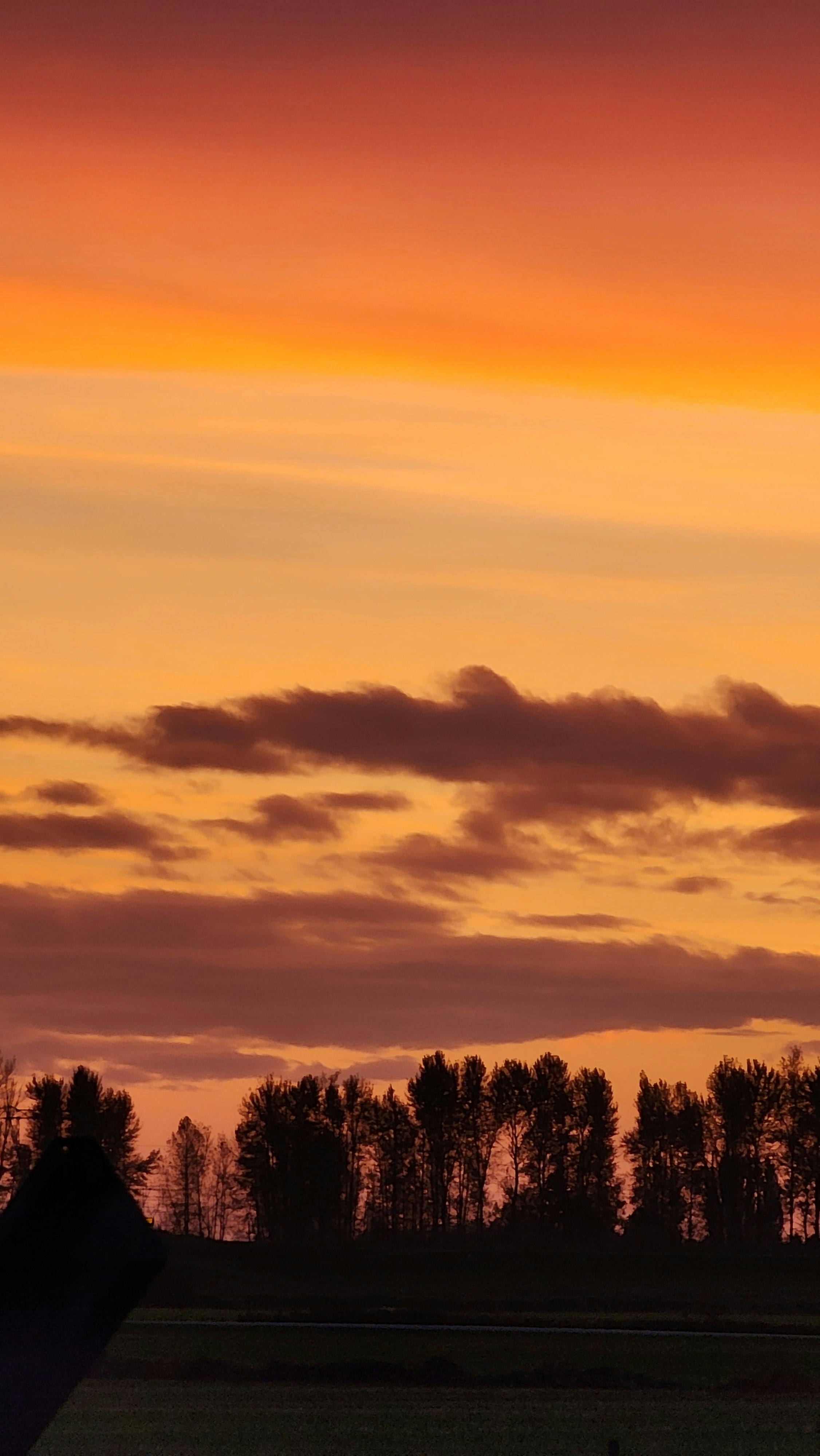 Photo by 2048megabytes