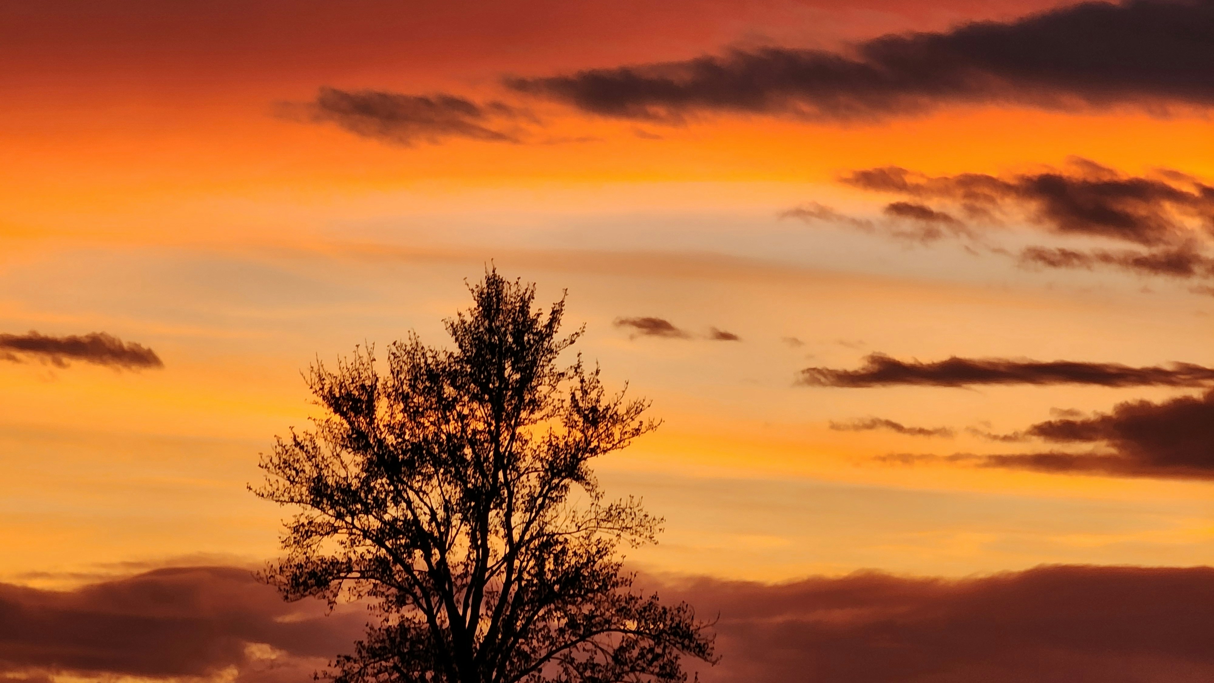 Photo by 2048megabytes