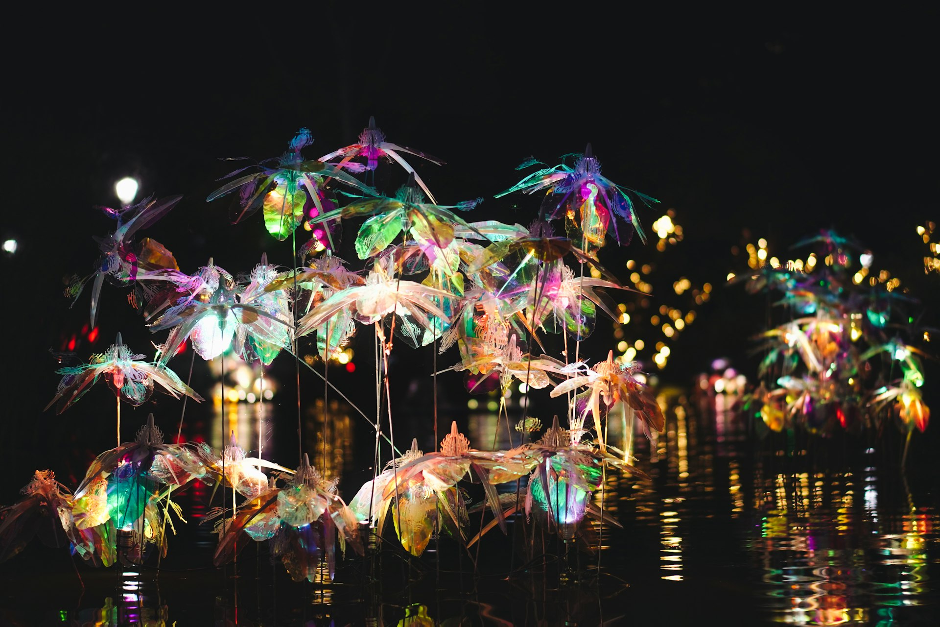 Colorful illuminated flowers float on dark water