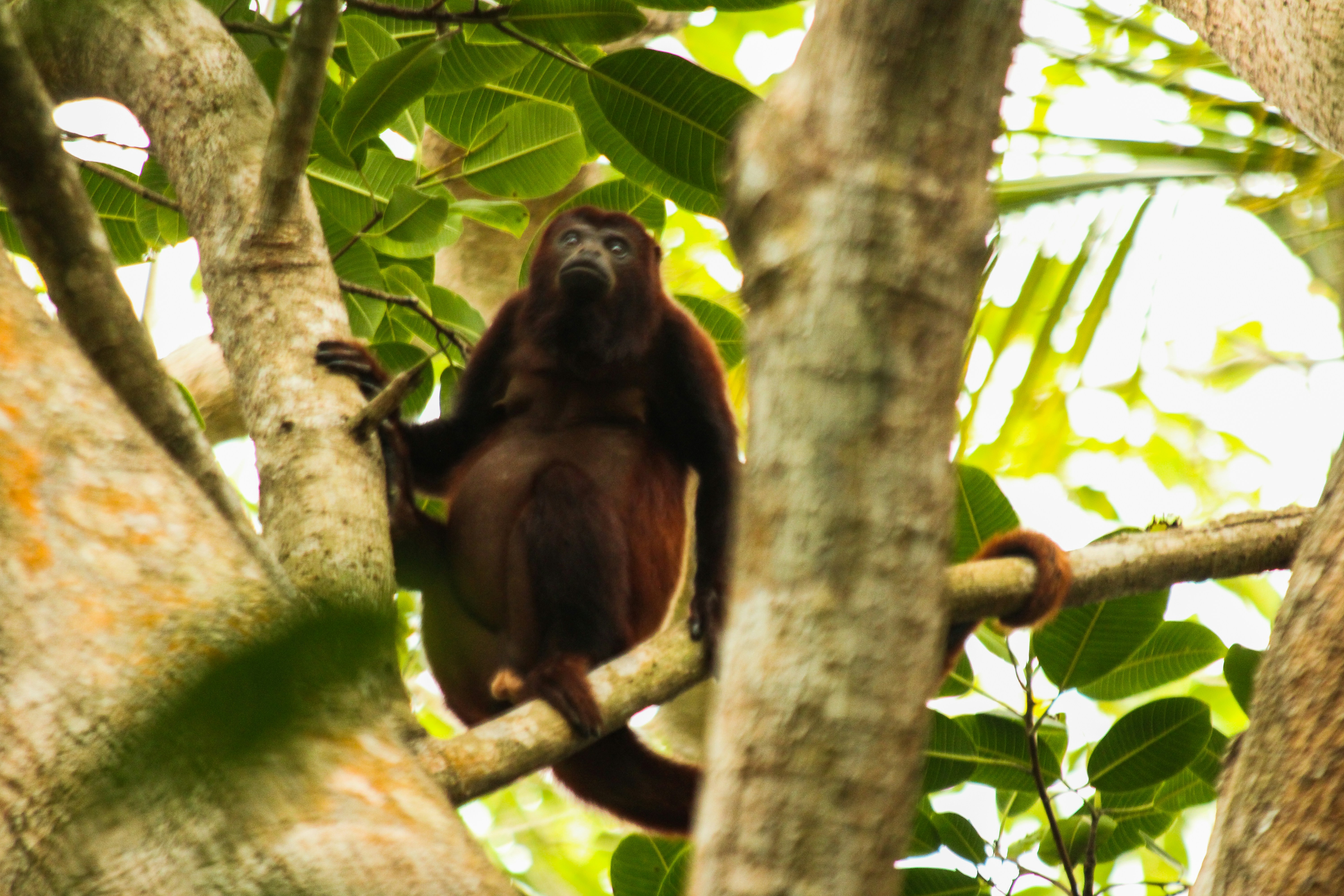 Photo by lauculturanomada