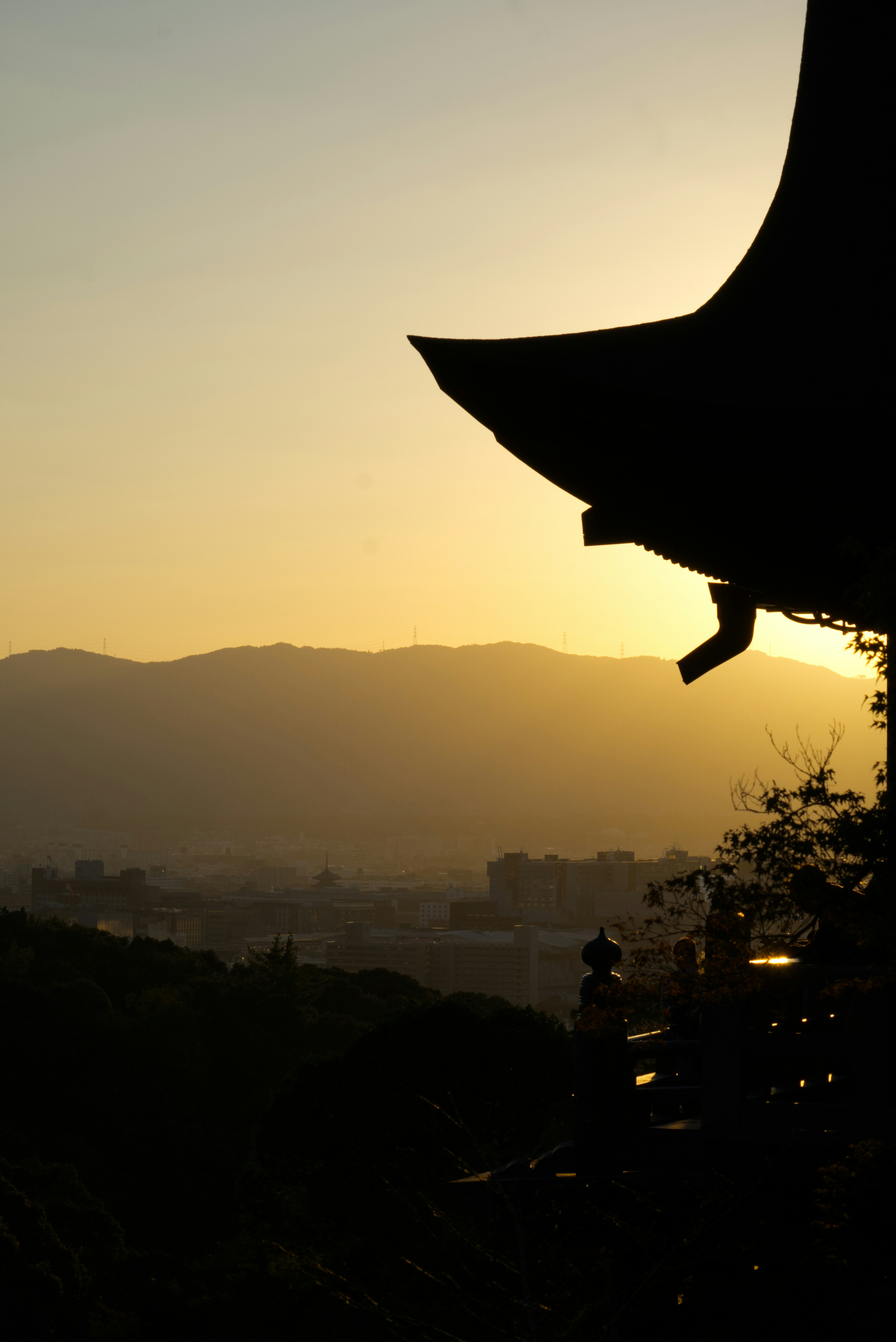 Photo by mahesh_ranaweera