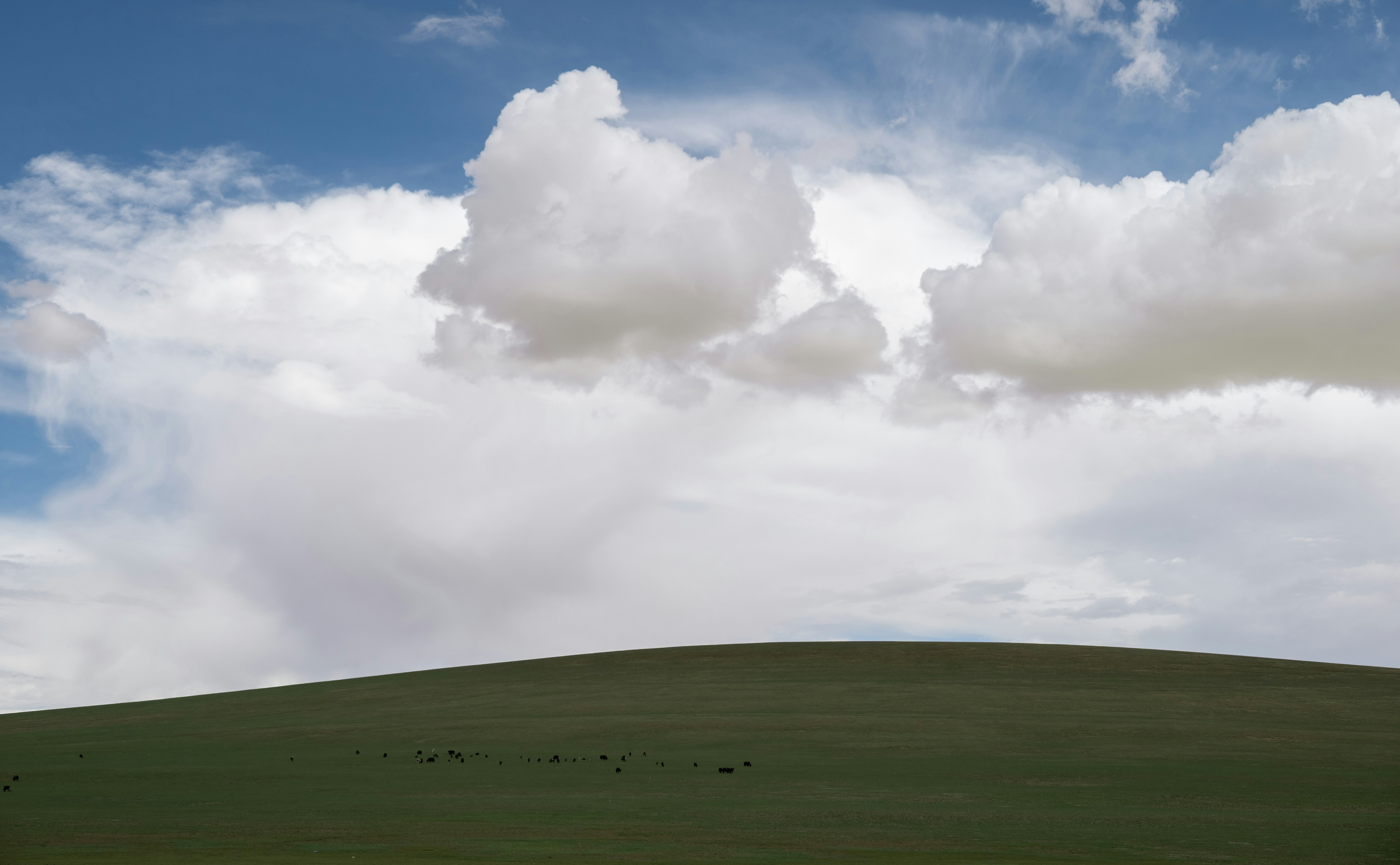 Photo by nikol_royce