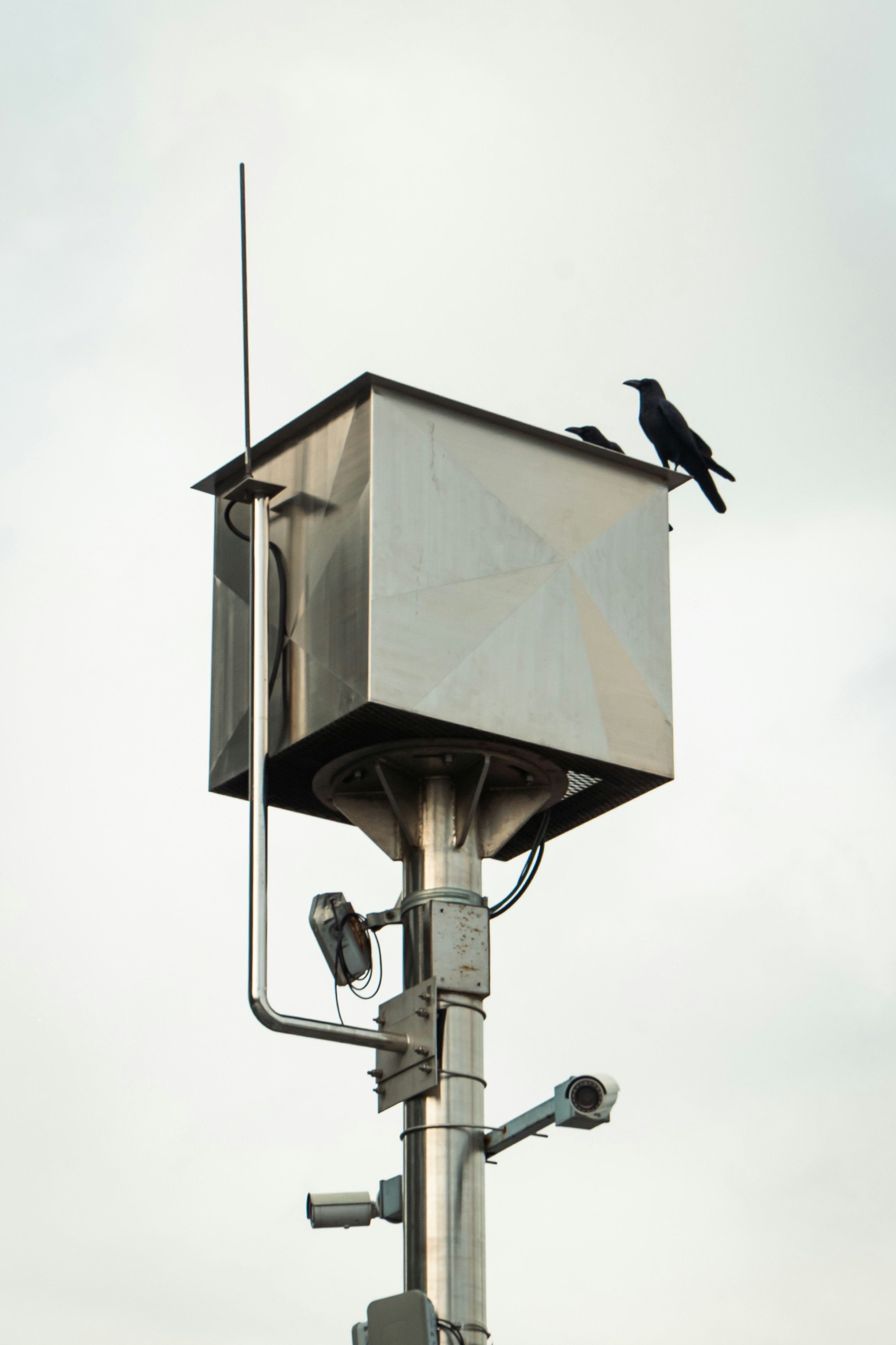 A crow sits atop a metal structure with cameras.