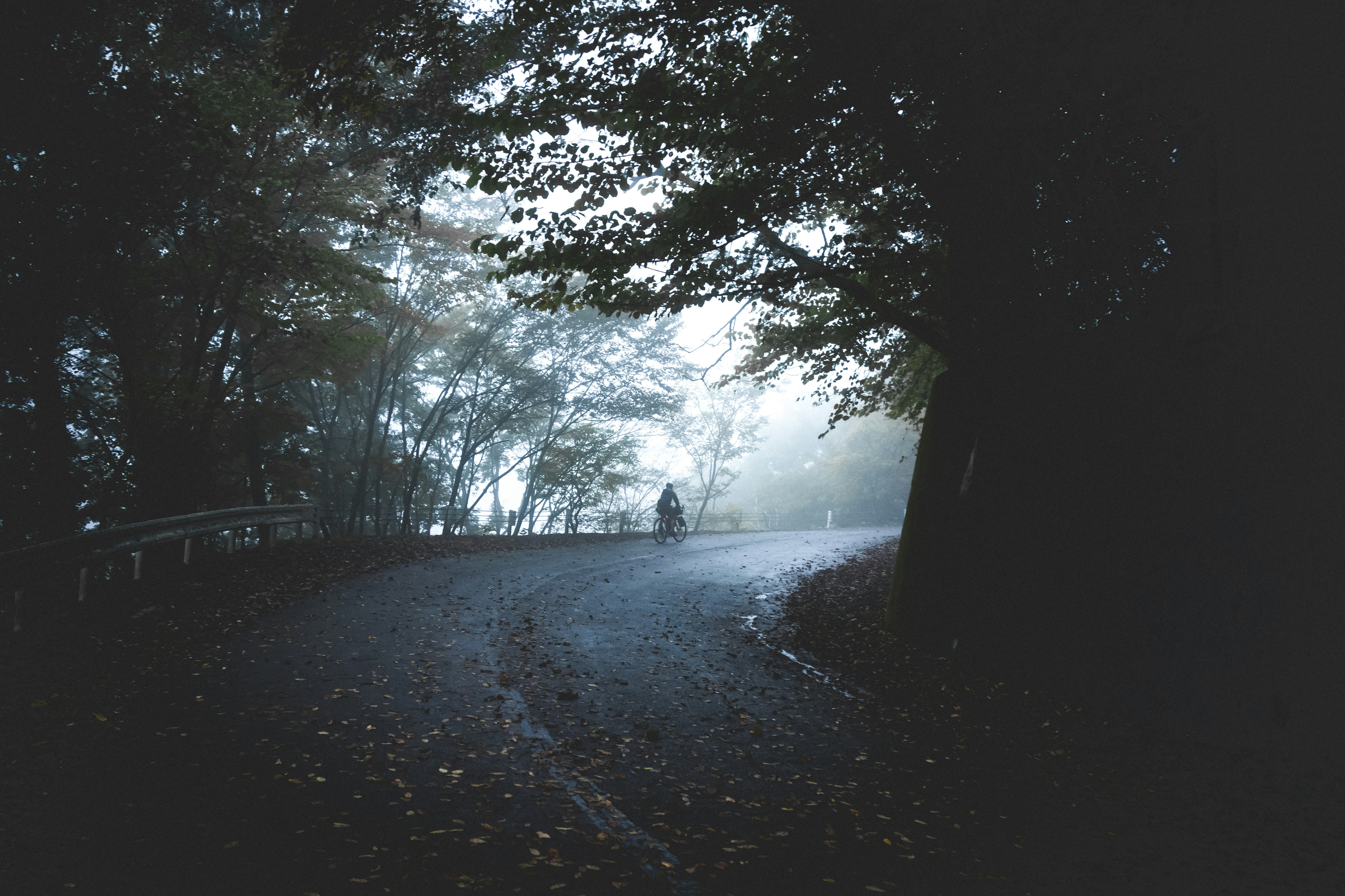 Photo by worldsbetweenlines