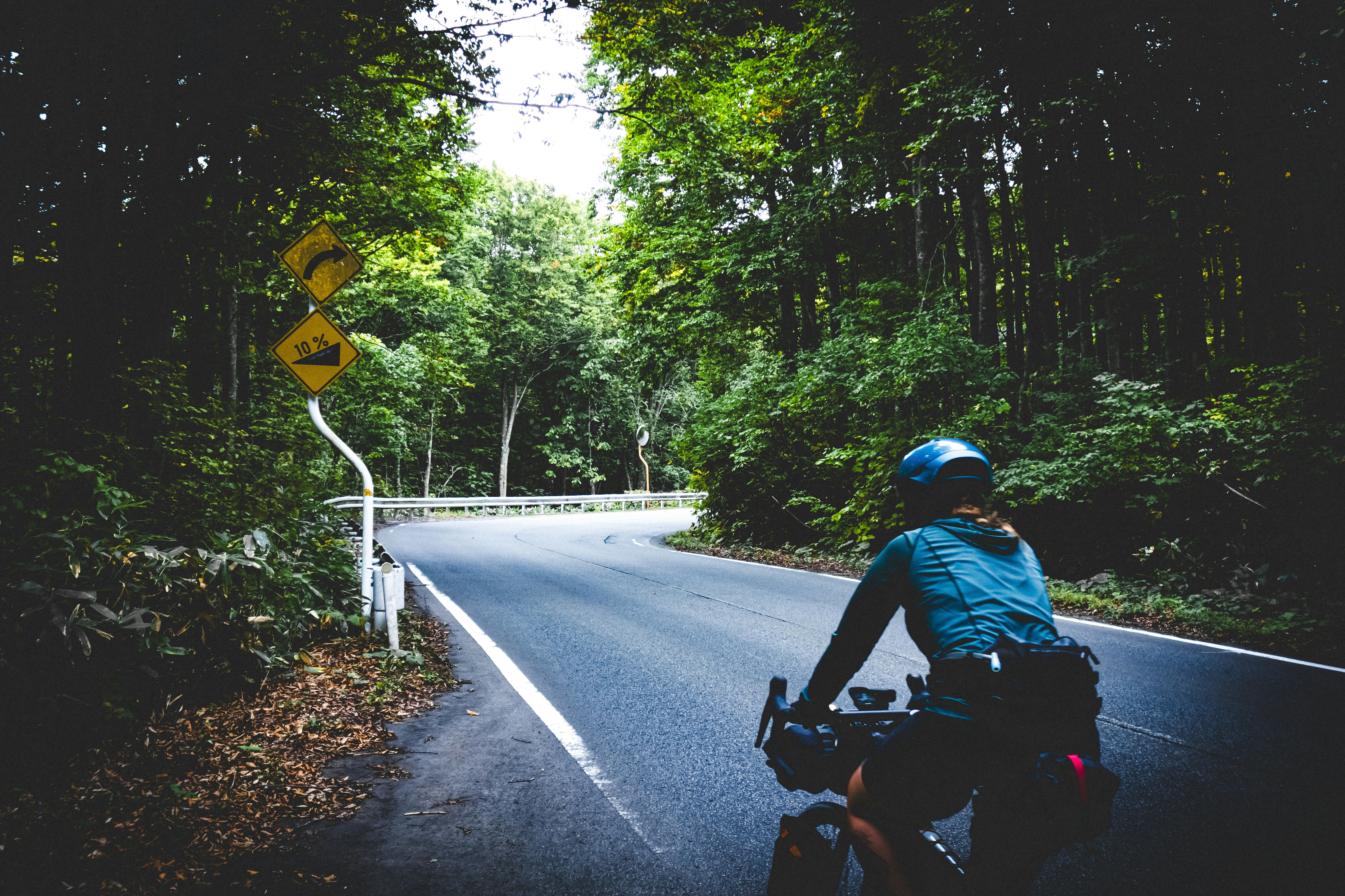 Cyclist on a winding road through lush forest.