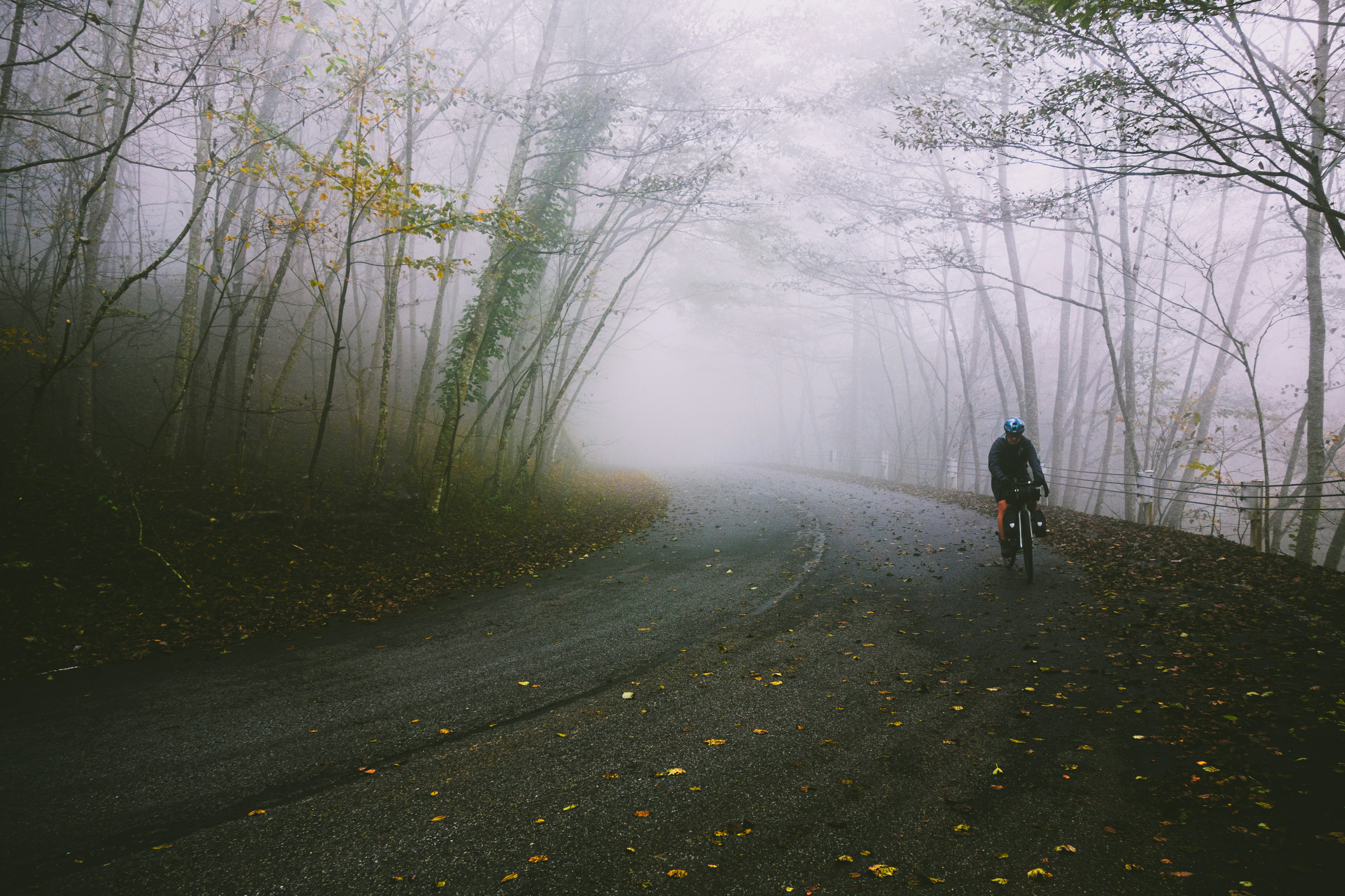 Cyclist on a foggy road through autumn trees