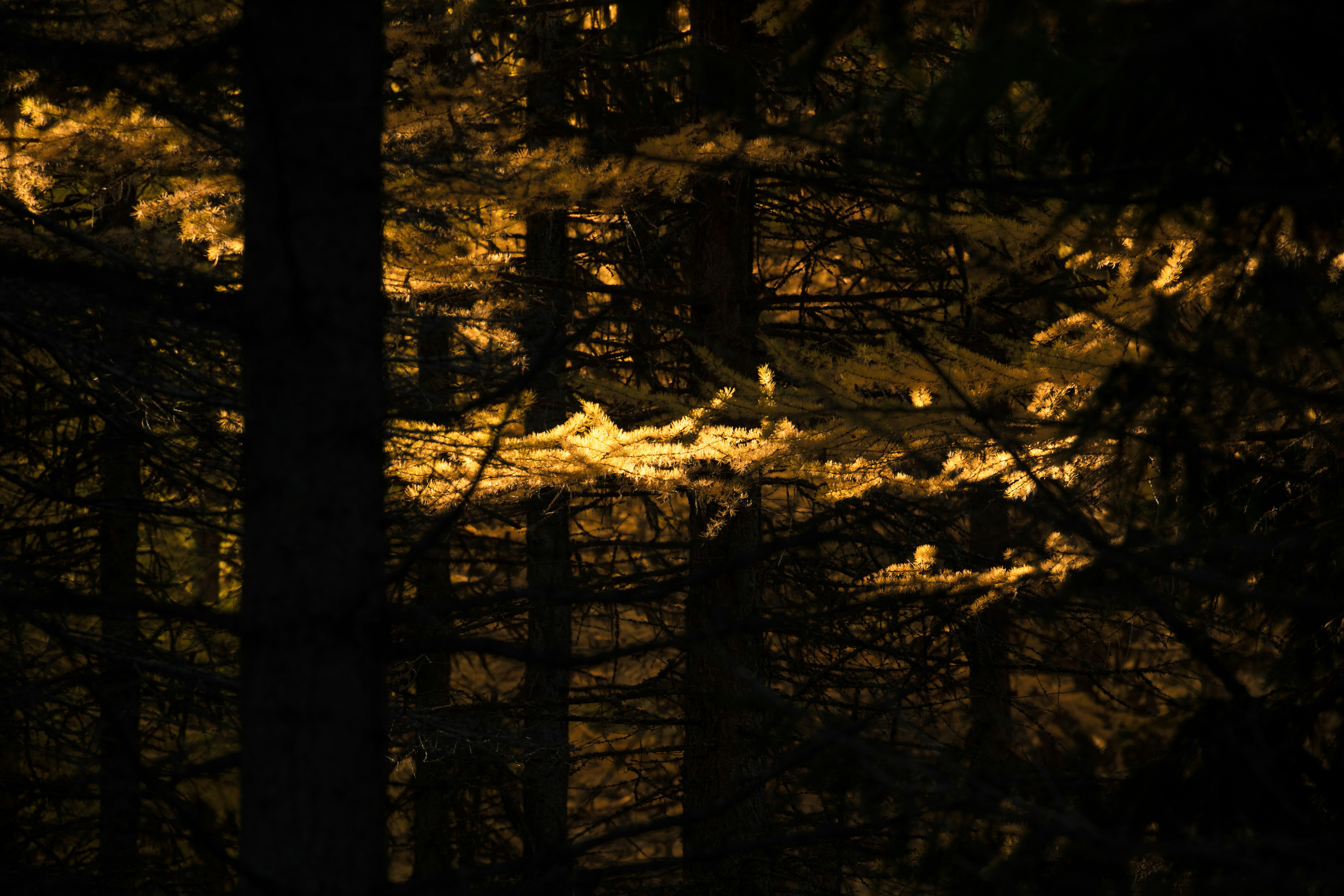 Photo by worldsbetweenlines