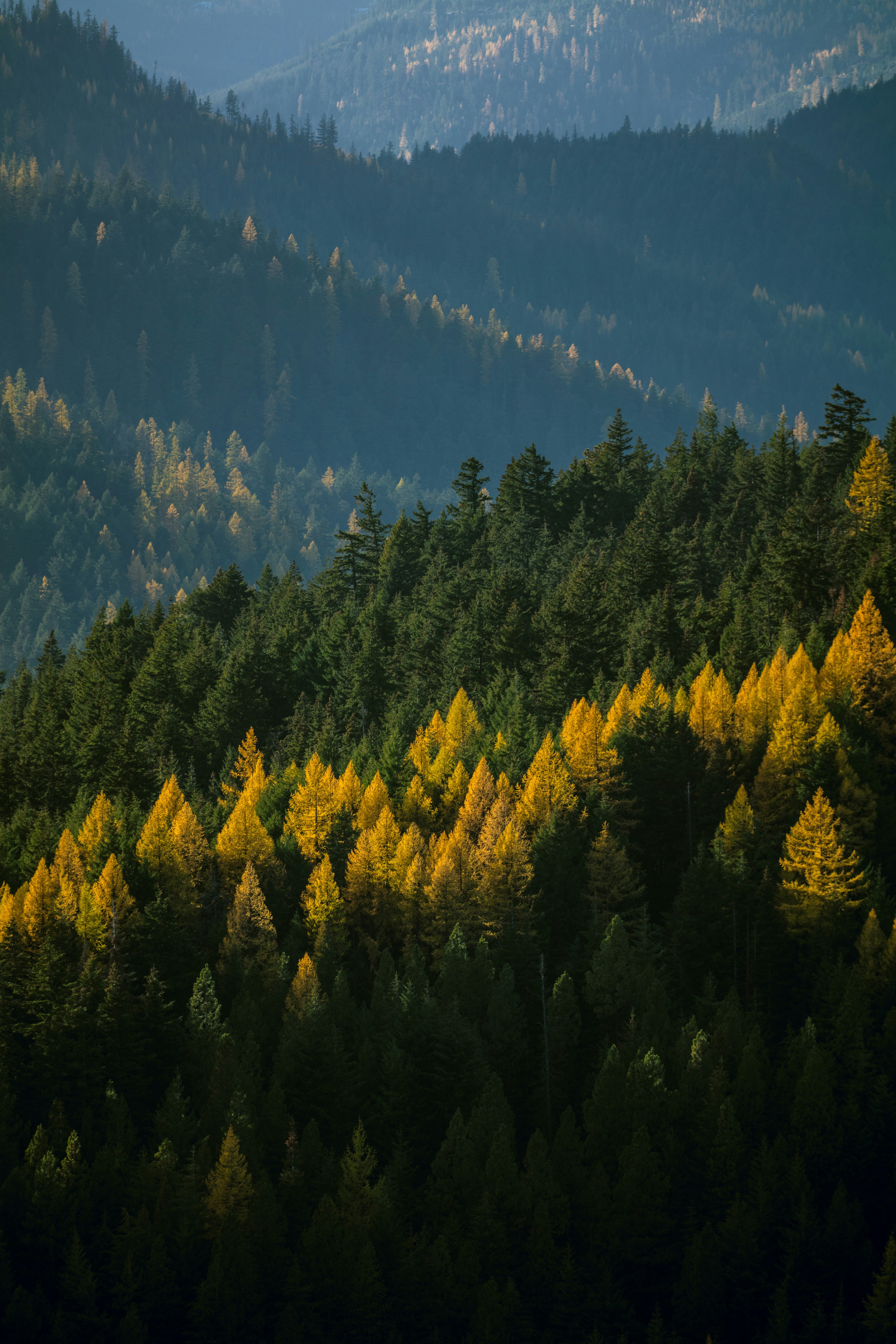 Photo by worldsbetweenlines