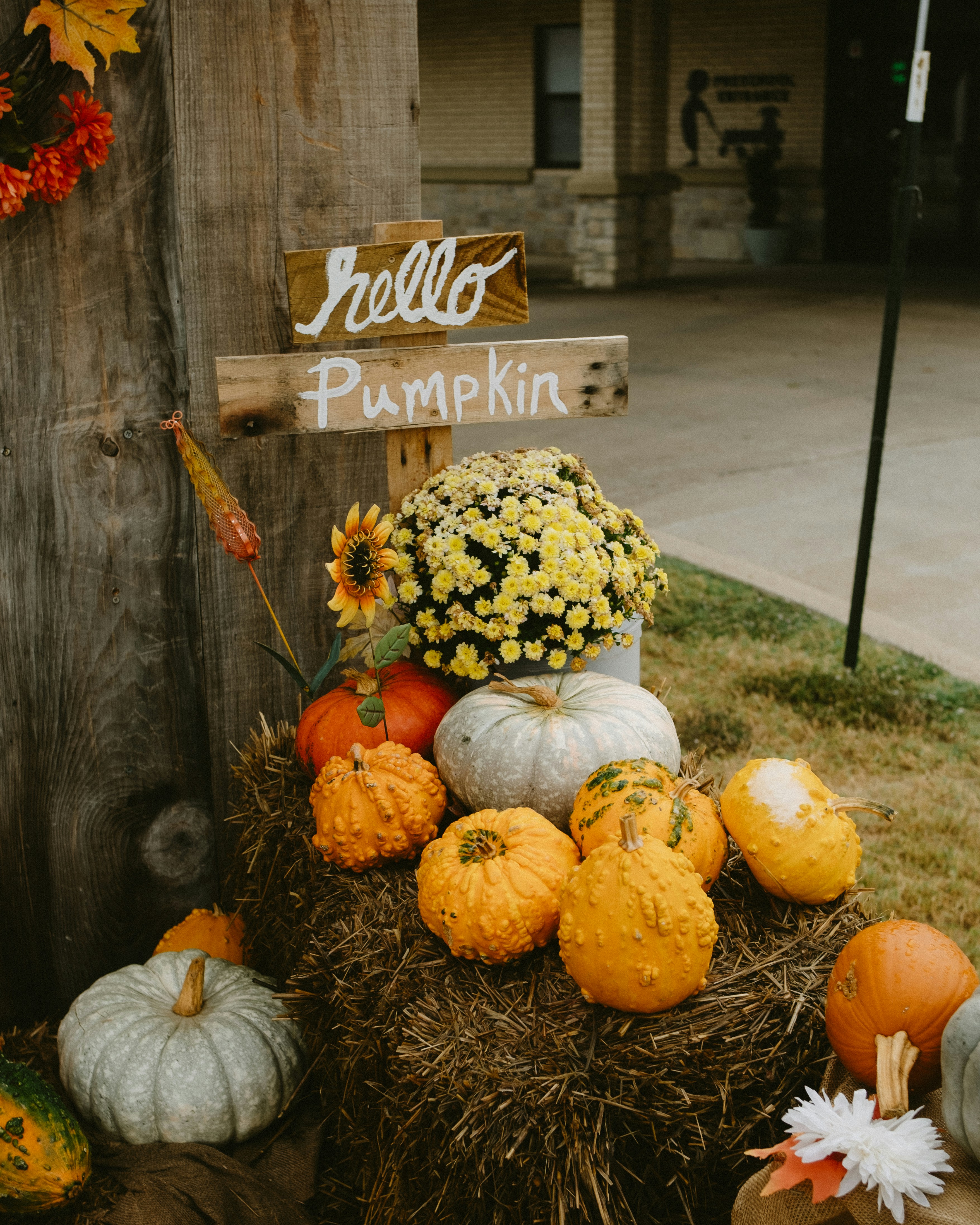 Fall harvest display with pumpkins and mums