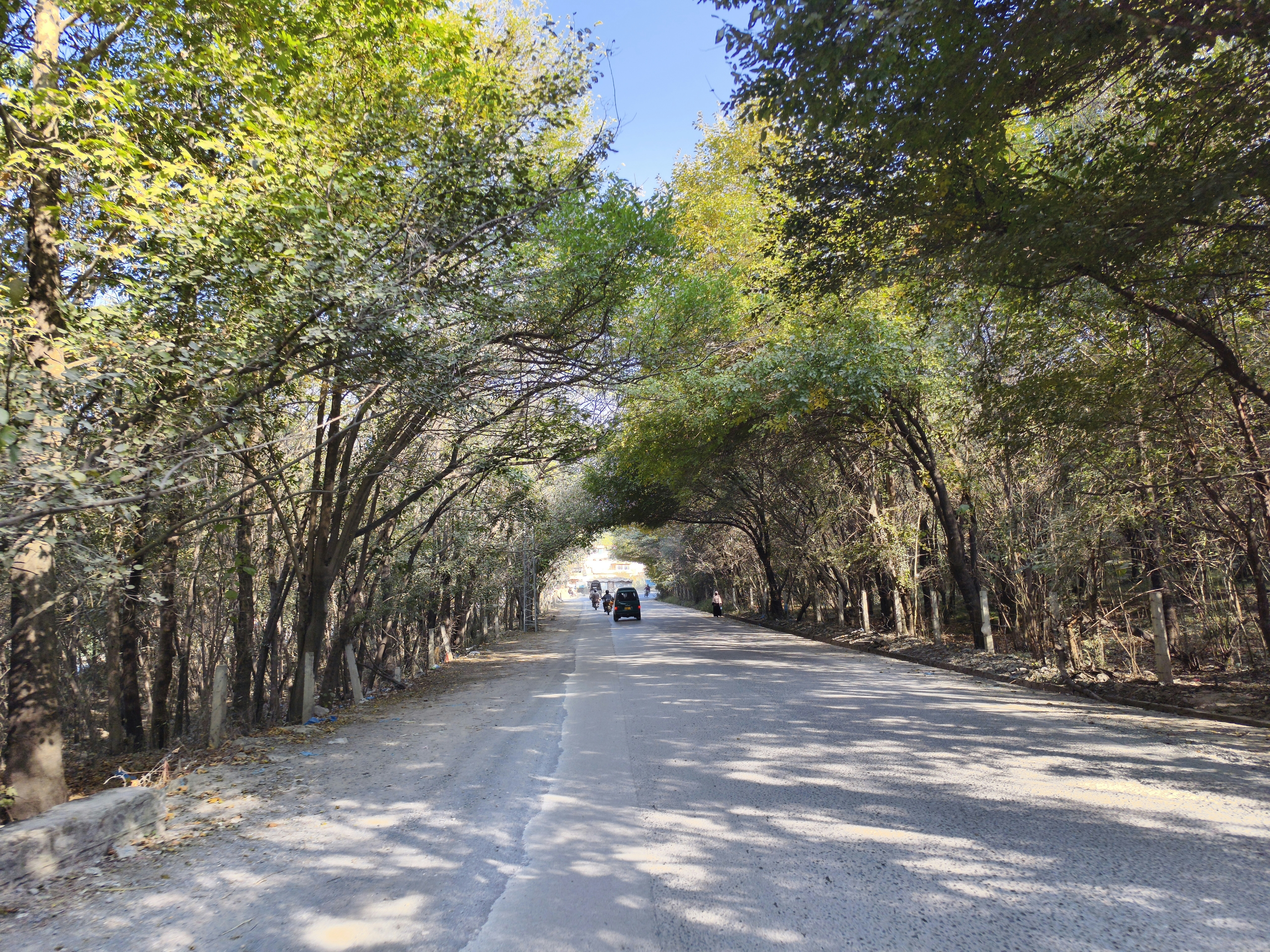 Vivo X100 Sample Shots