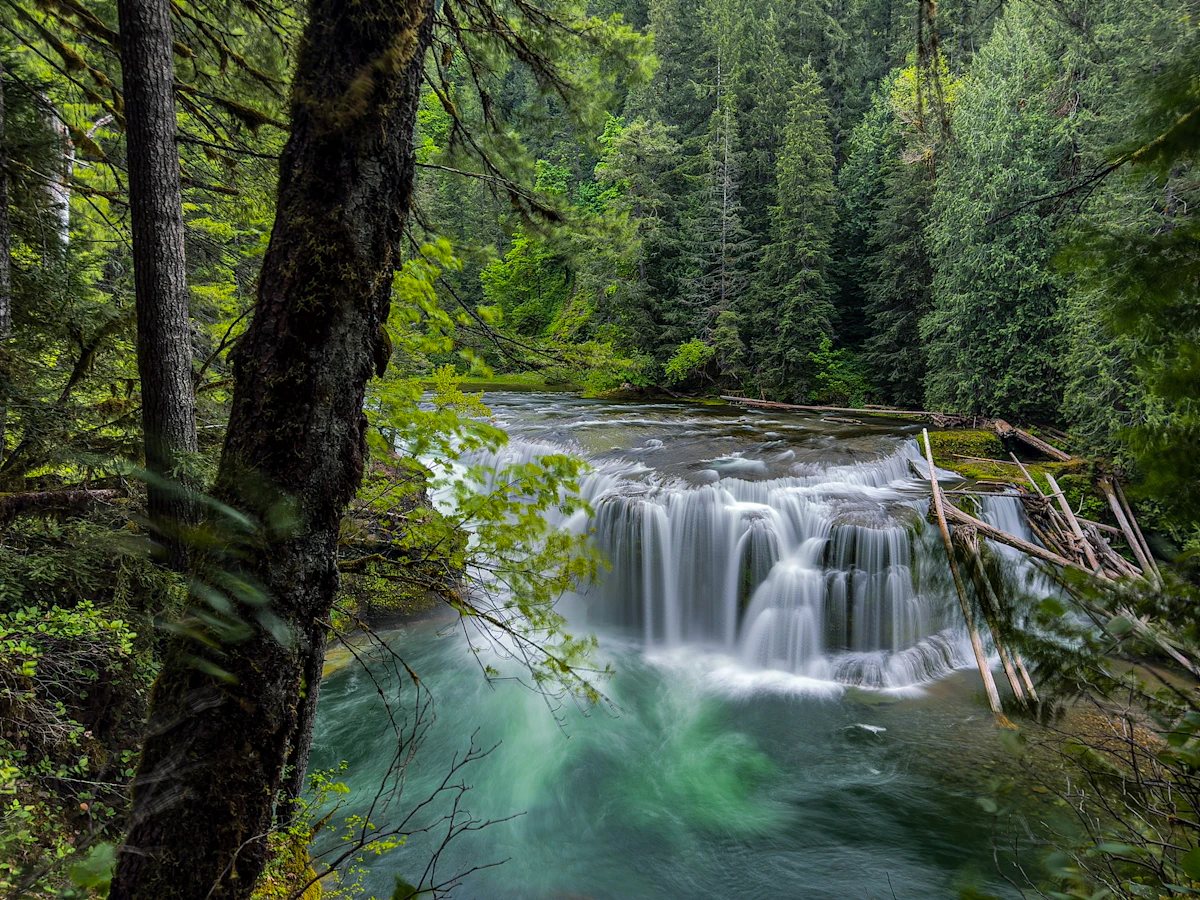 Lower Lewis River Falls spilling over a wide ledge in green forest