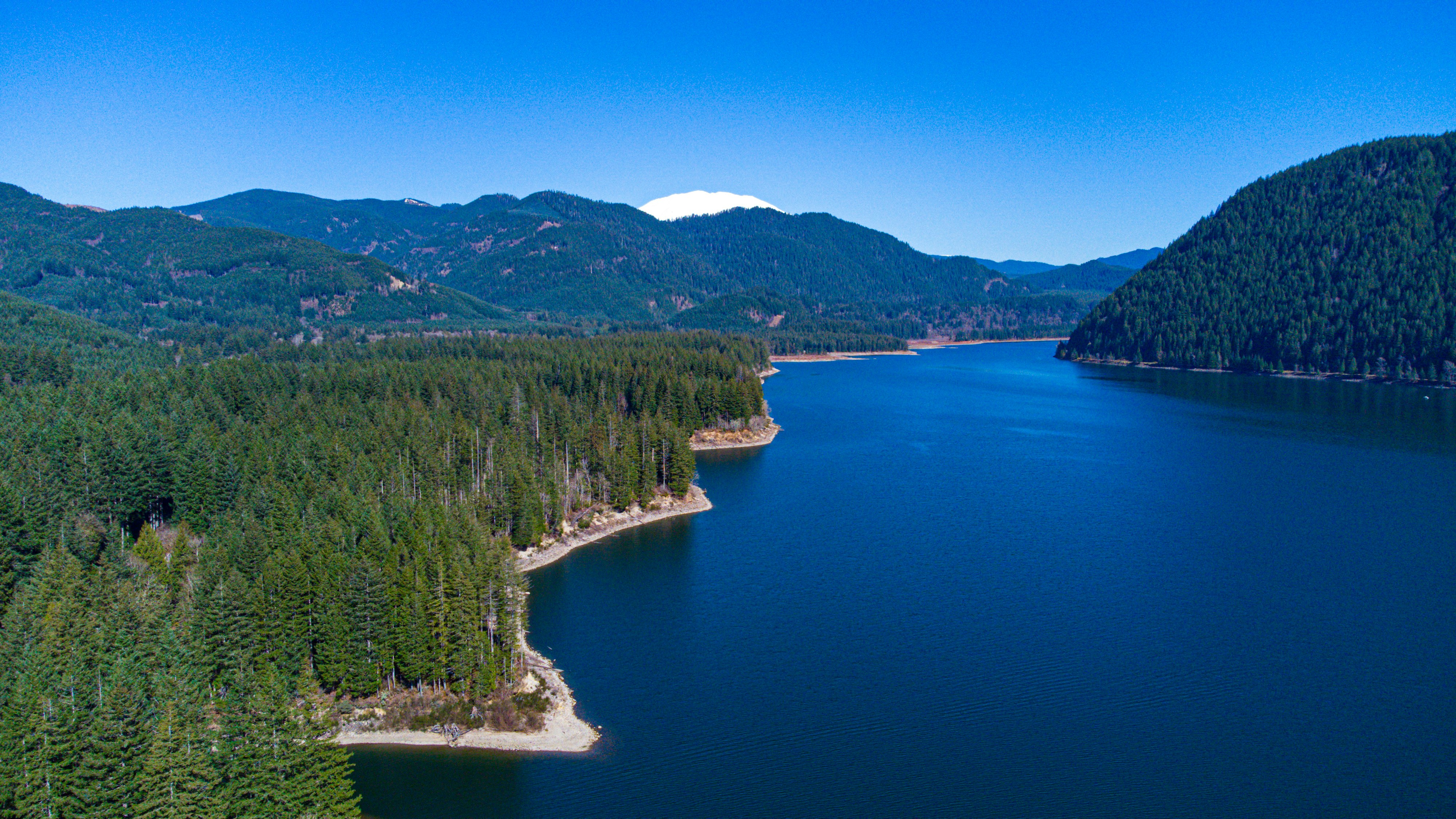 Large blue lake surrounded by evergreen forest and mountains.