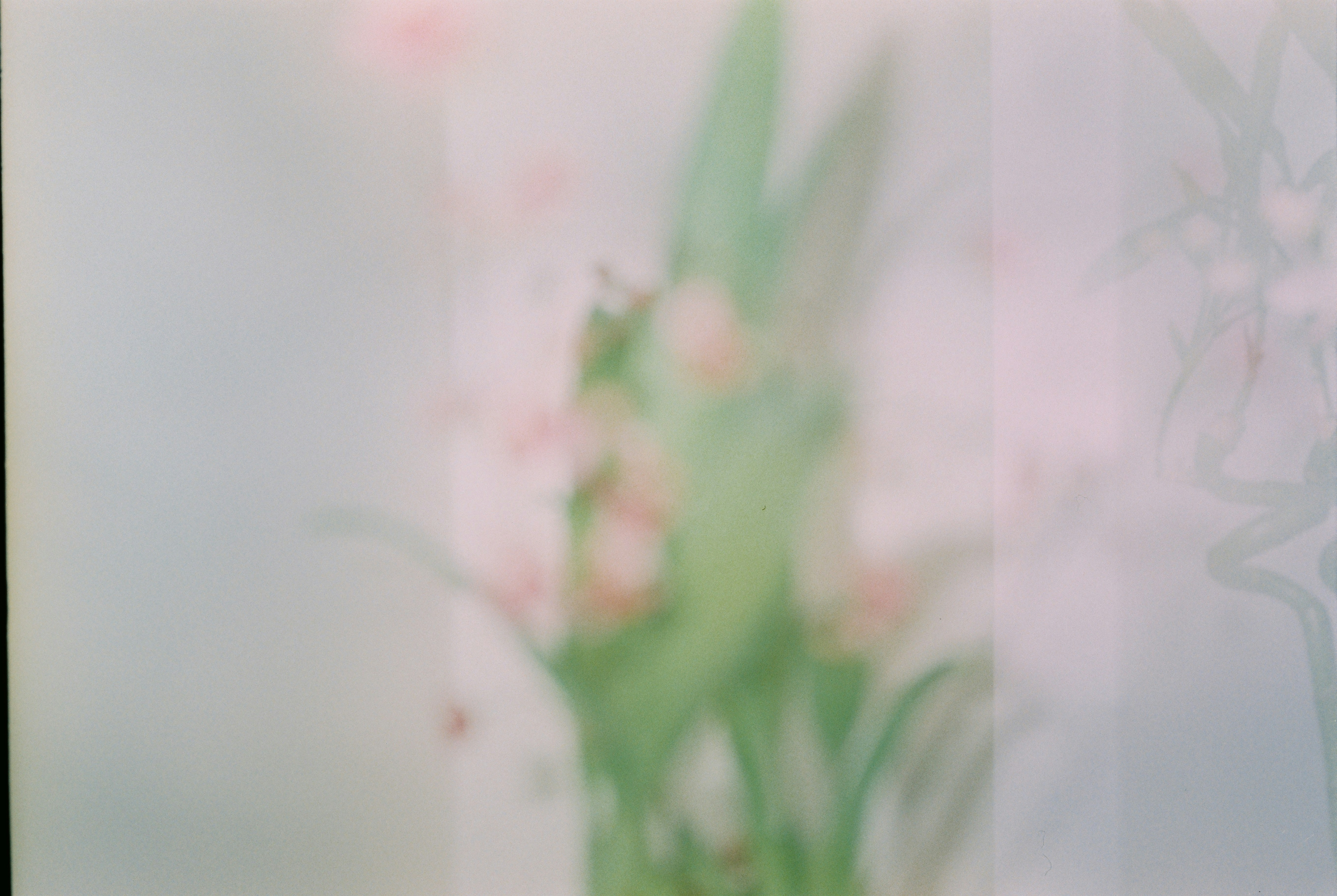 Photo by sophia70307