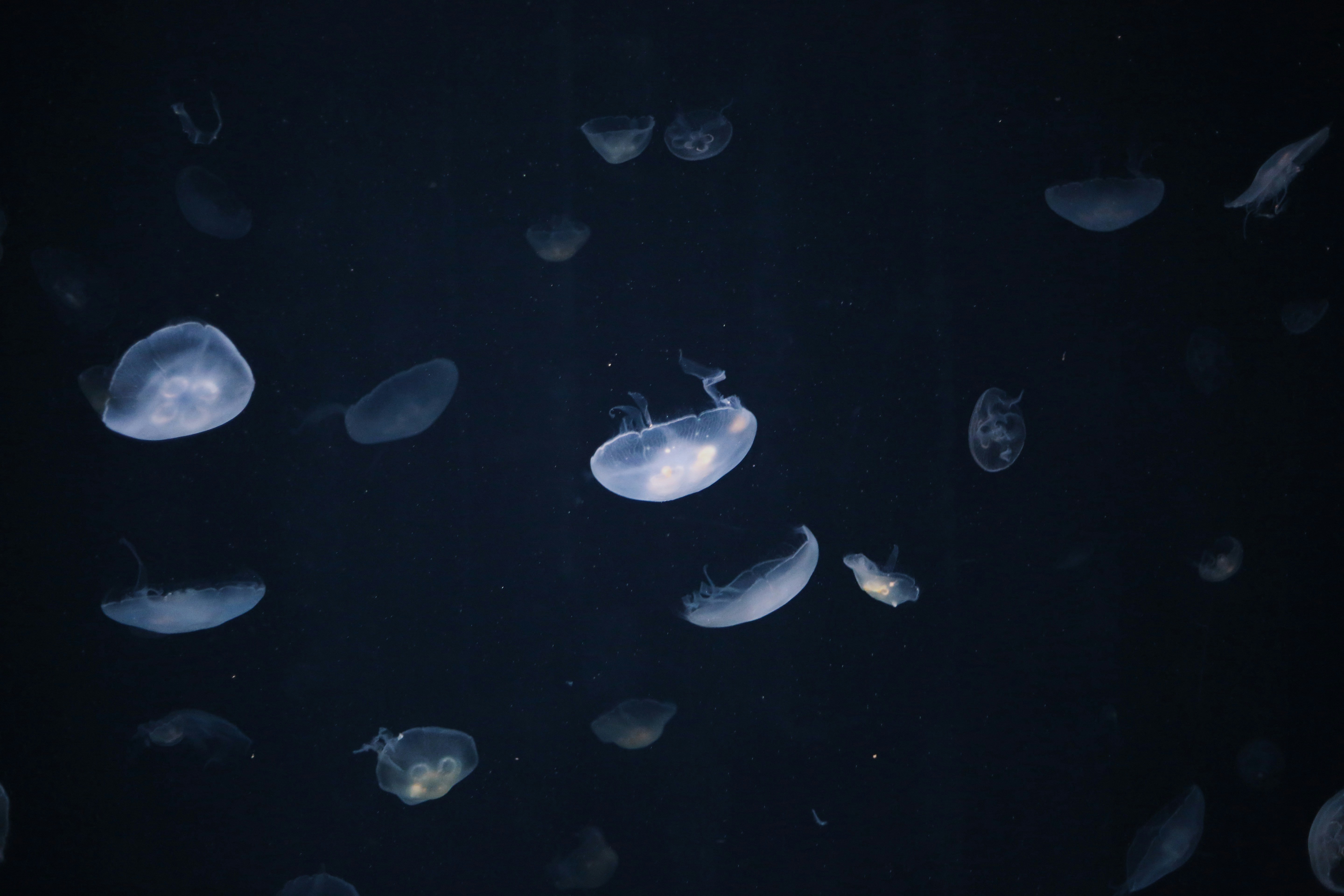 Photo by sophia70307