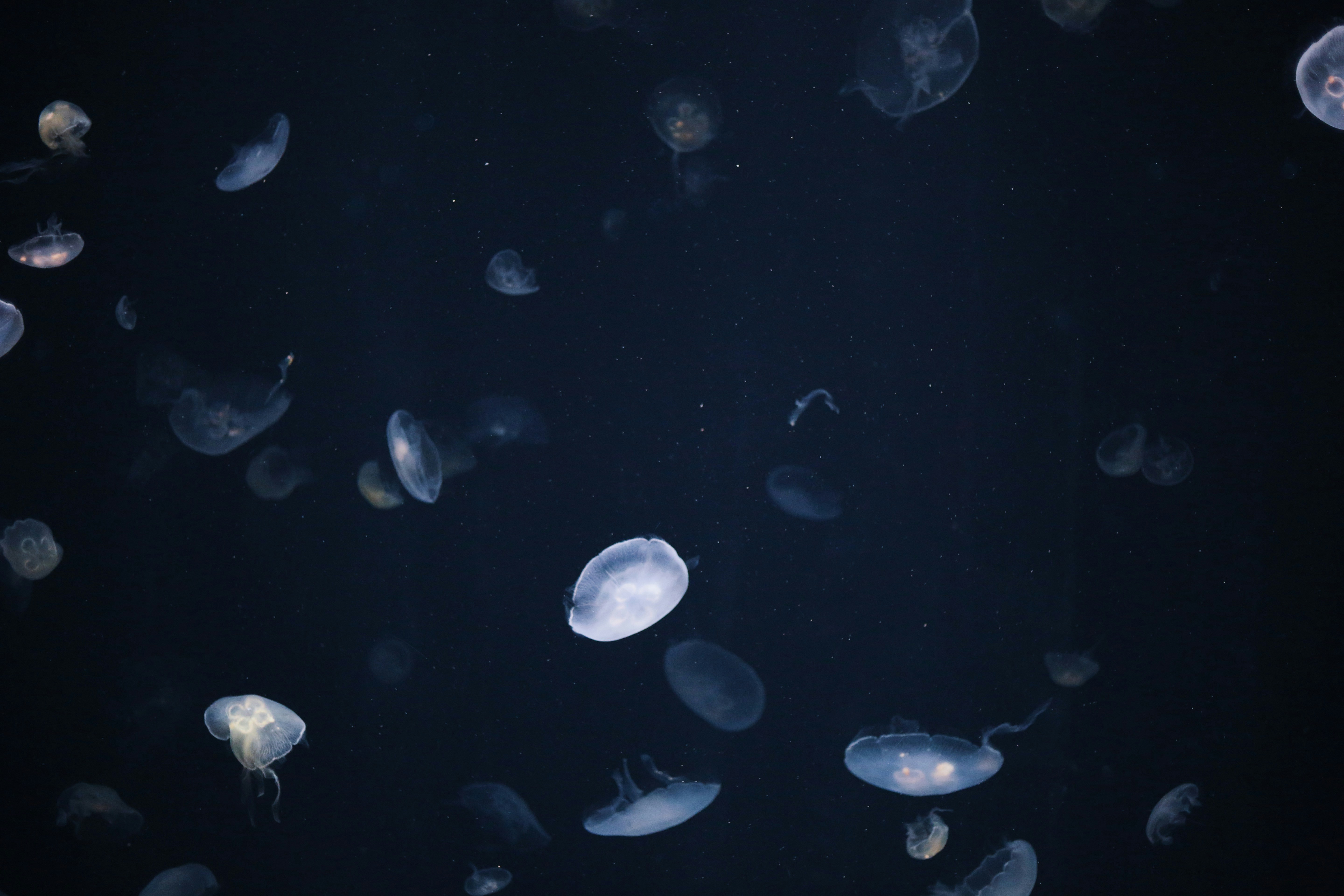 Photo by sophia70307