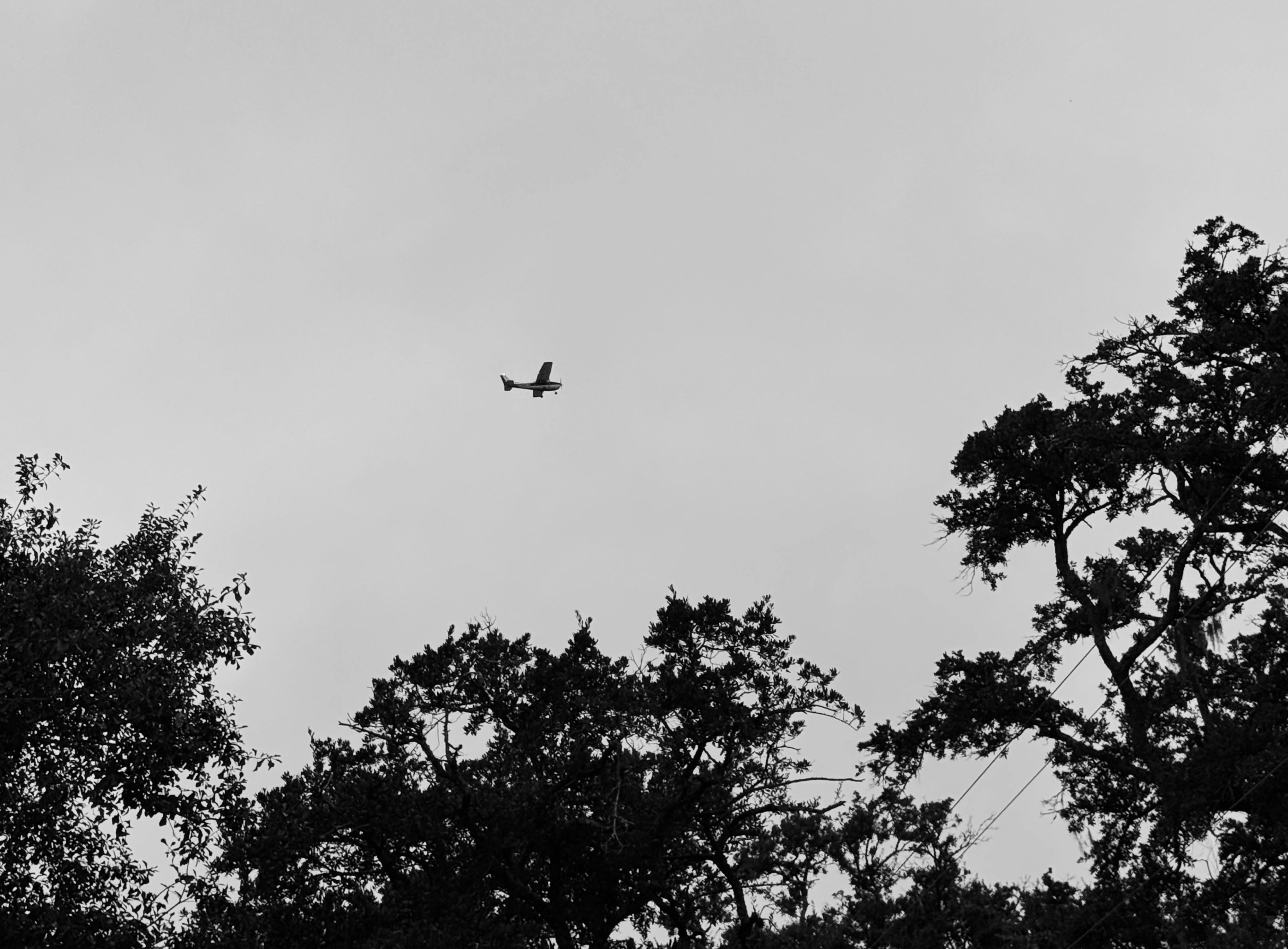Small airplane flying in the sky above trees