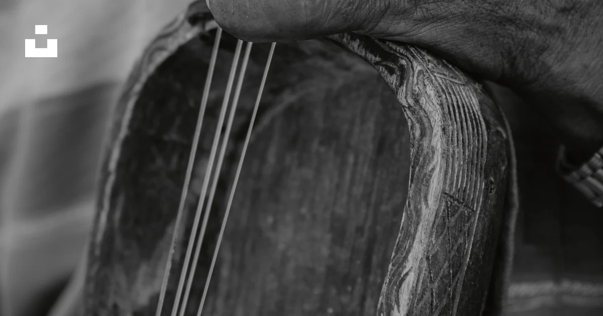 Stringman Instrument Man playing a traditional stringed instrument photo – Free Portrait ...