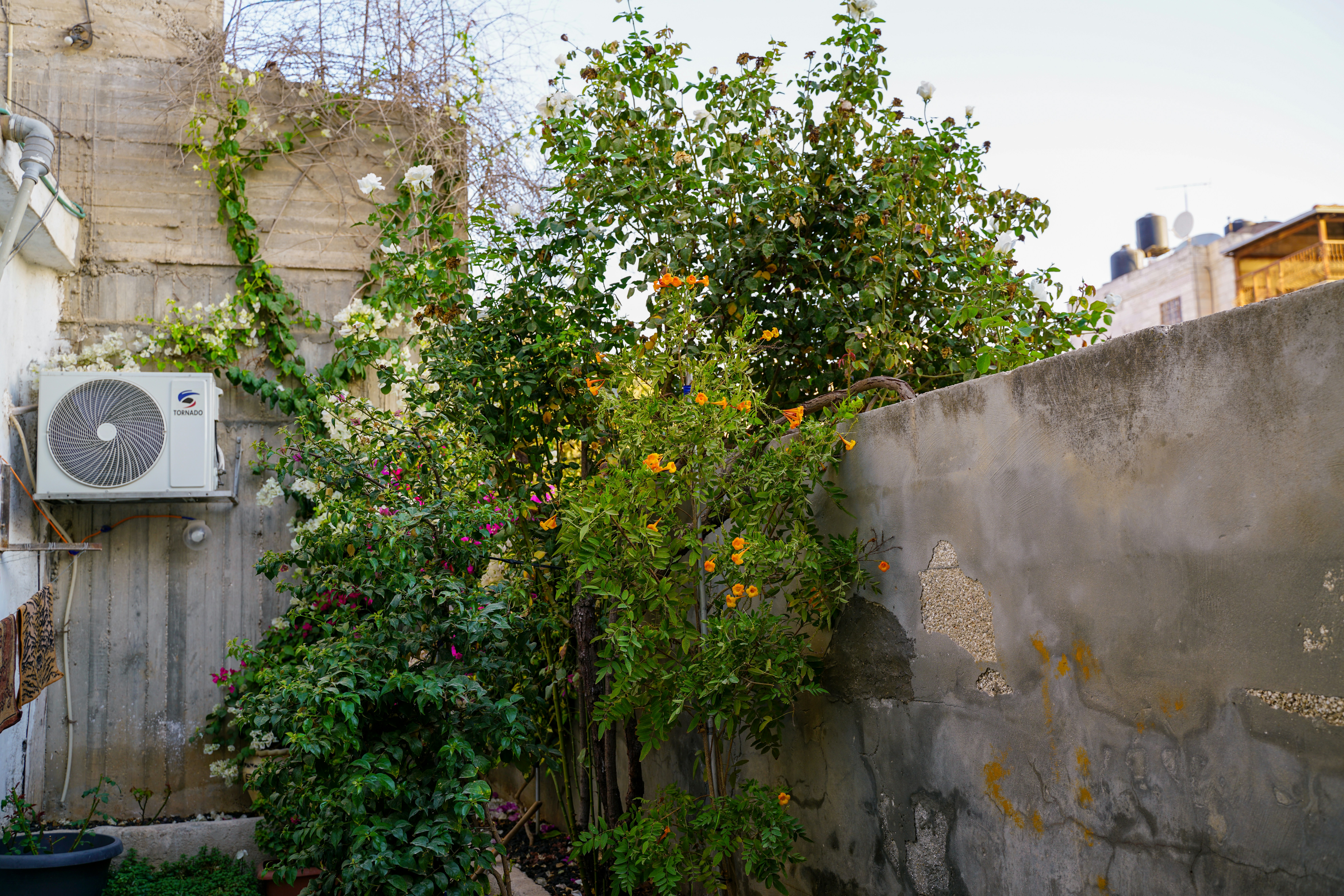 outdoor AC unit - outdoor ac unit repair tallahassee