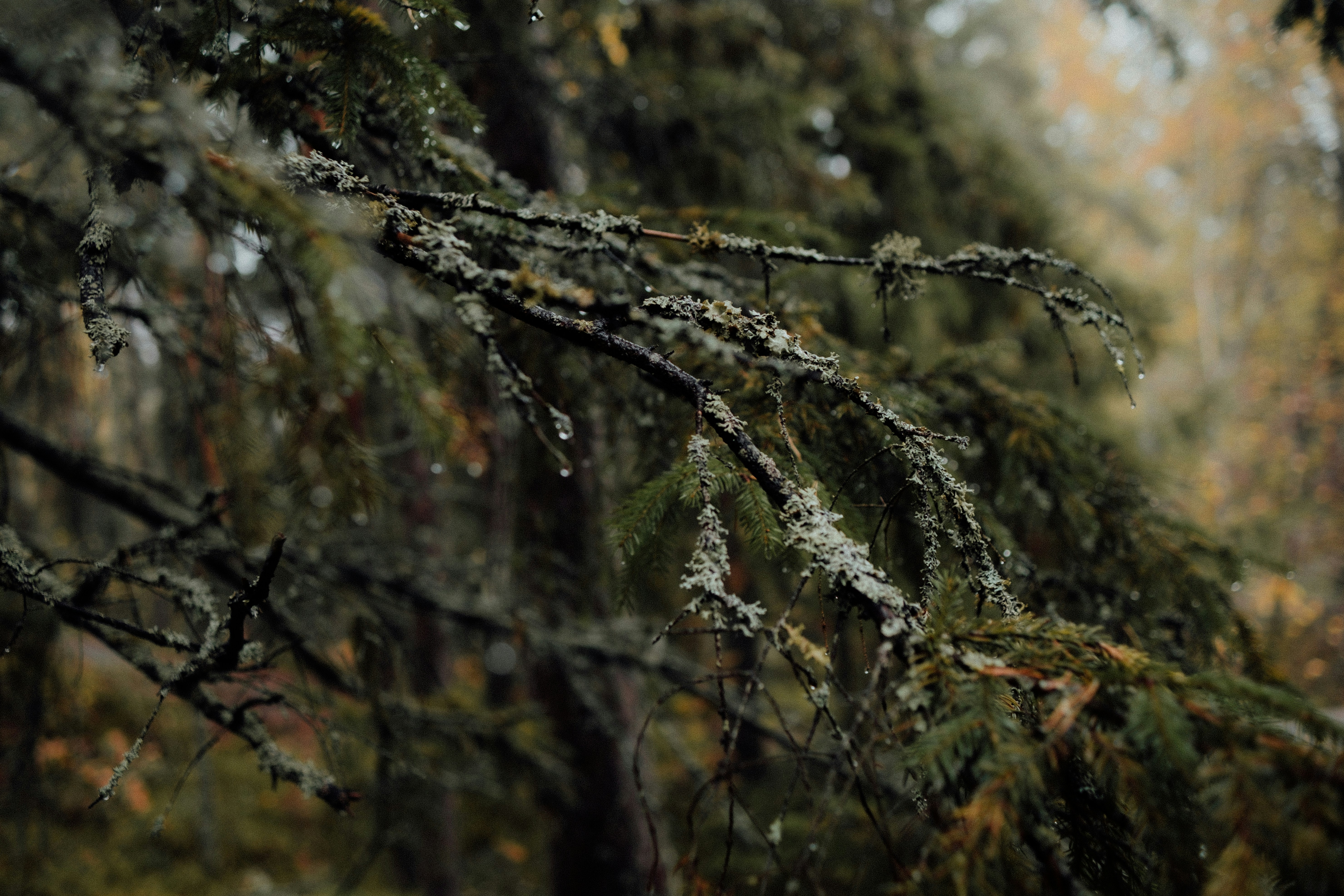 Photo by valentinakond