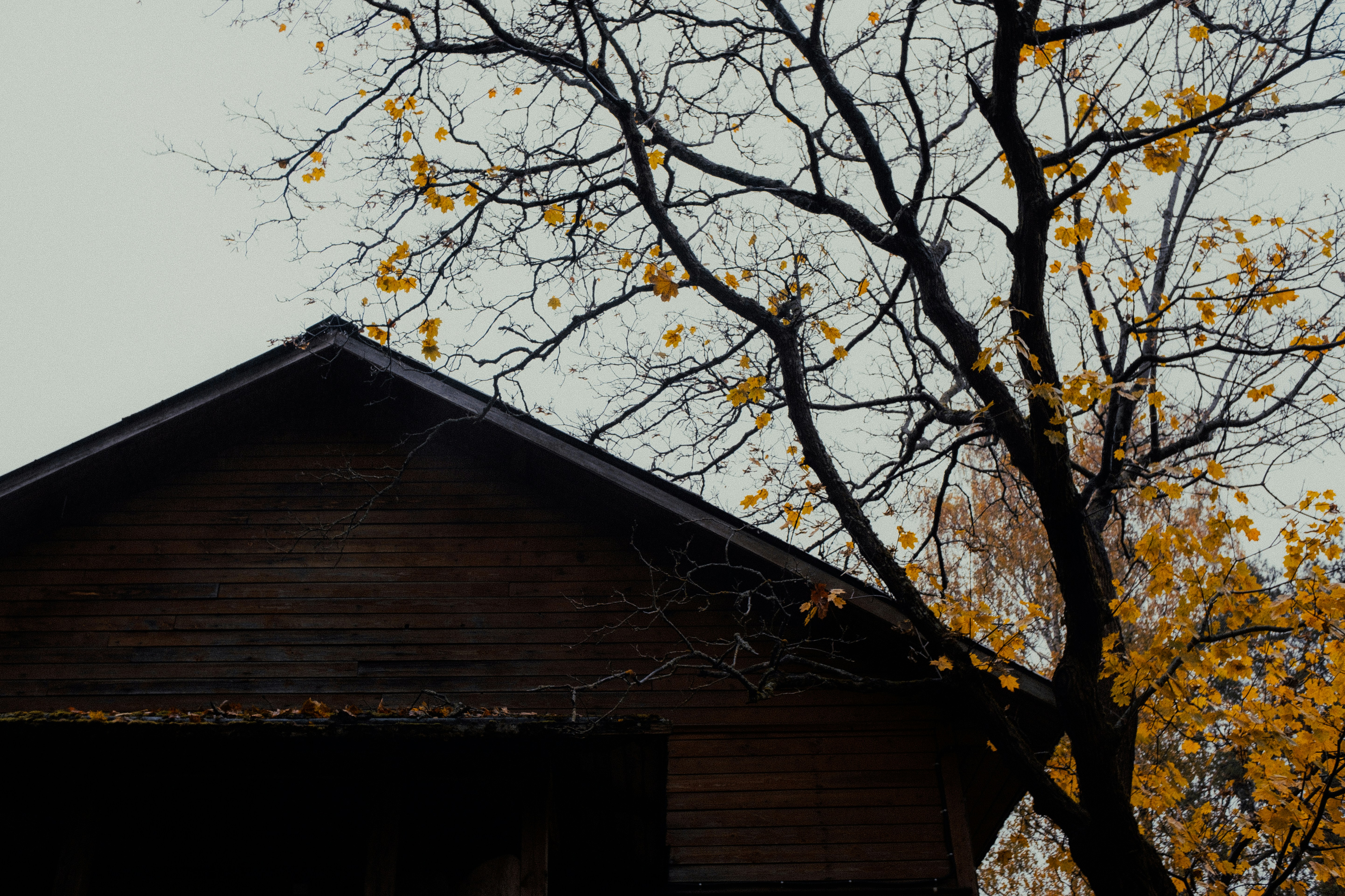 Photo by valentinakond